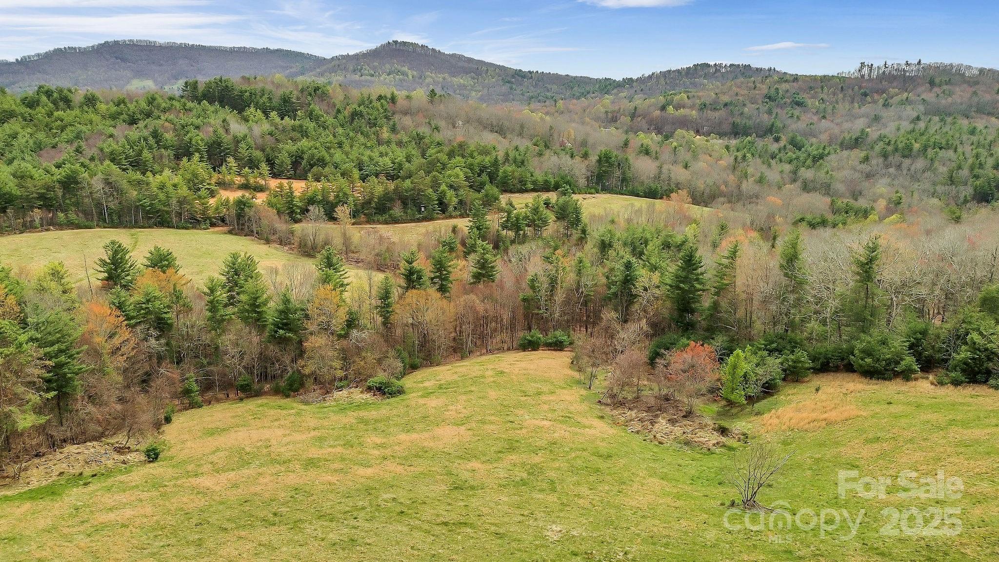 000 Little Peak Creek Road Property Photo 23
