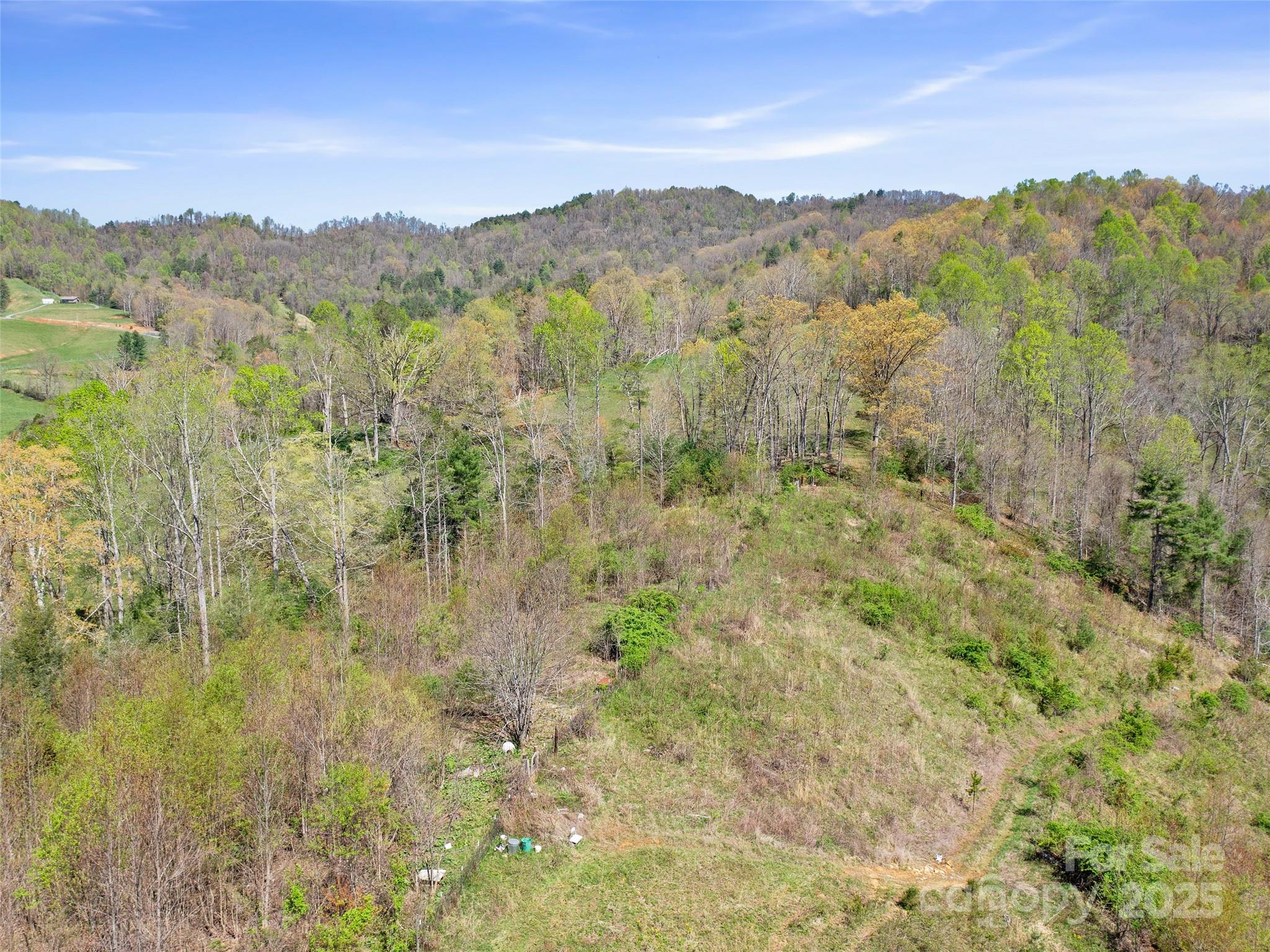 6370 Meadows Town Road Property Photo 12