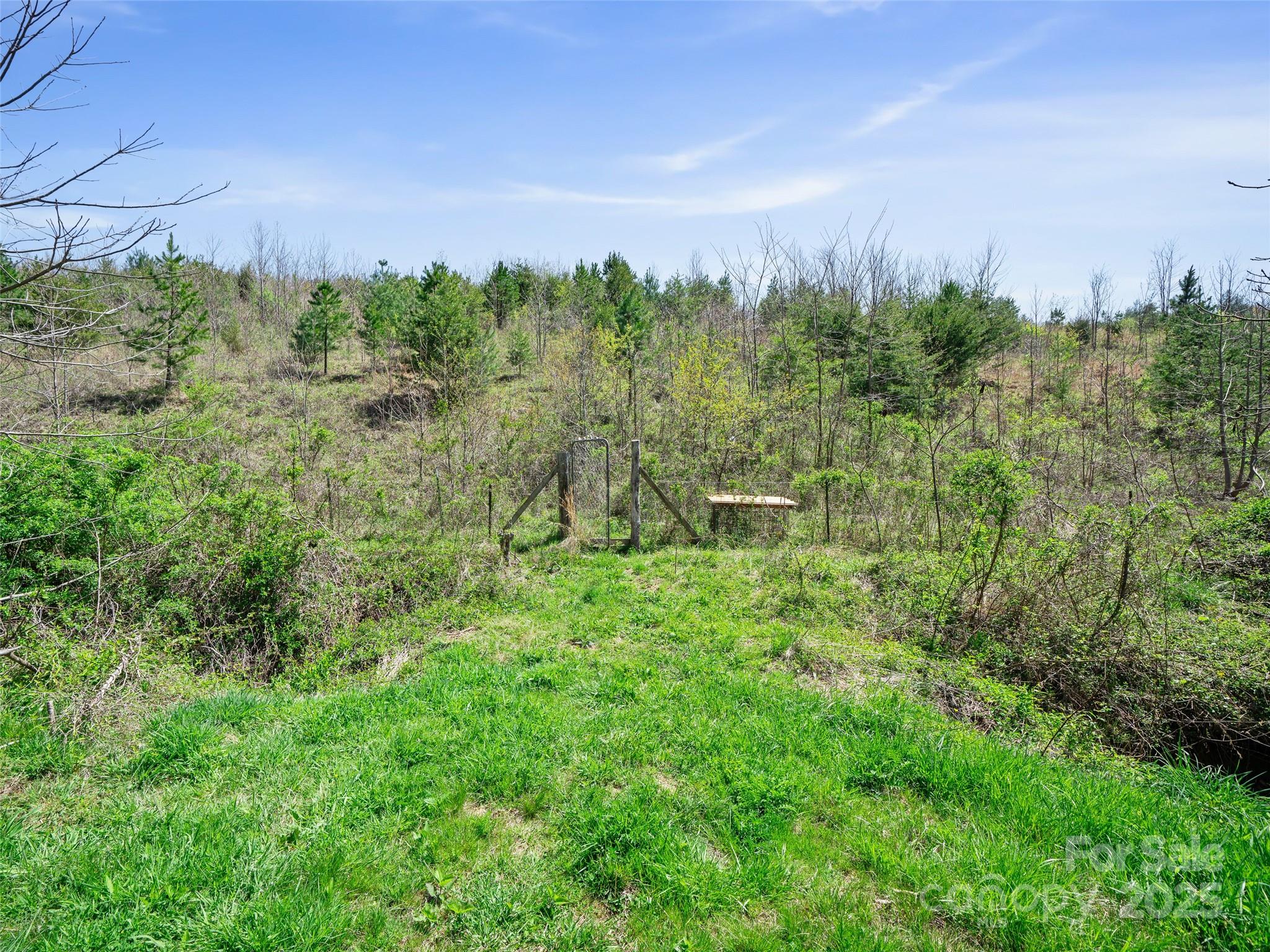 6370 Meadows Town Road Property Photo 15