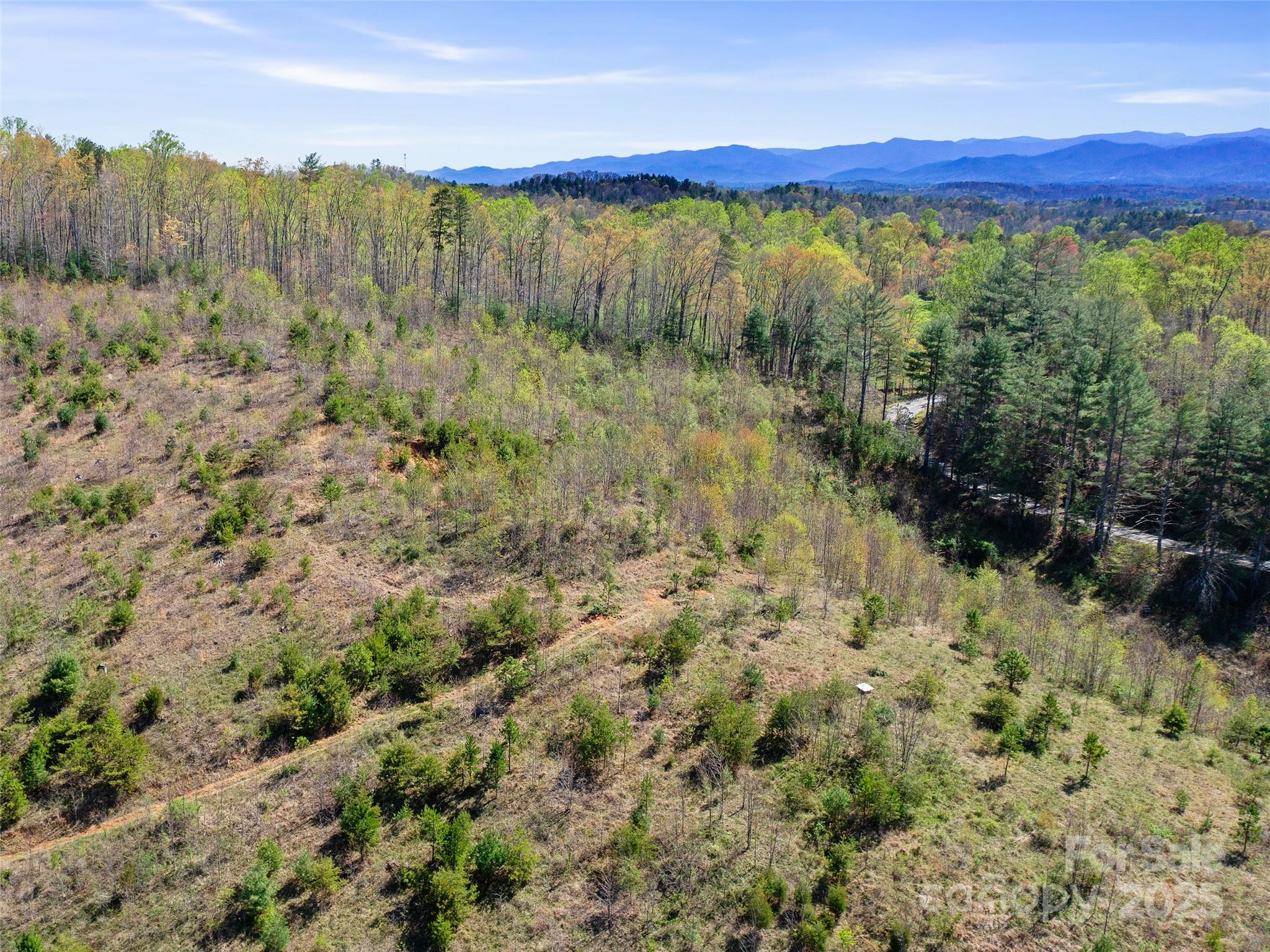 6370 Meadows Town Road Property Photo 20
