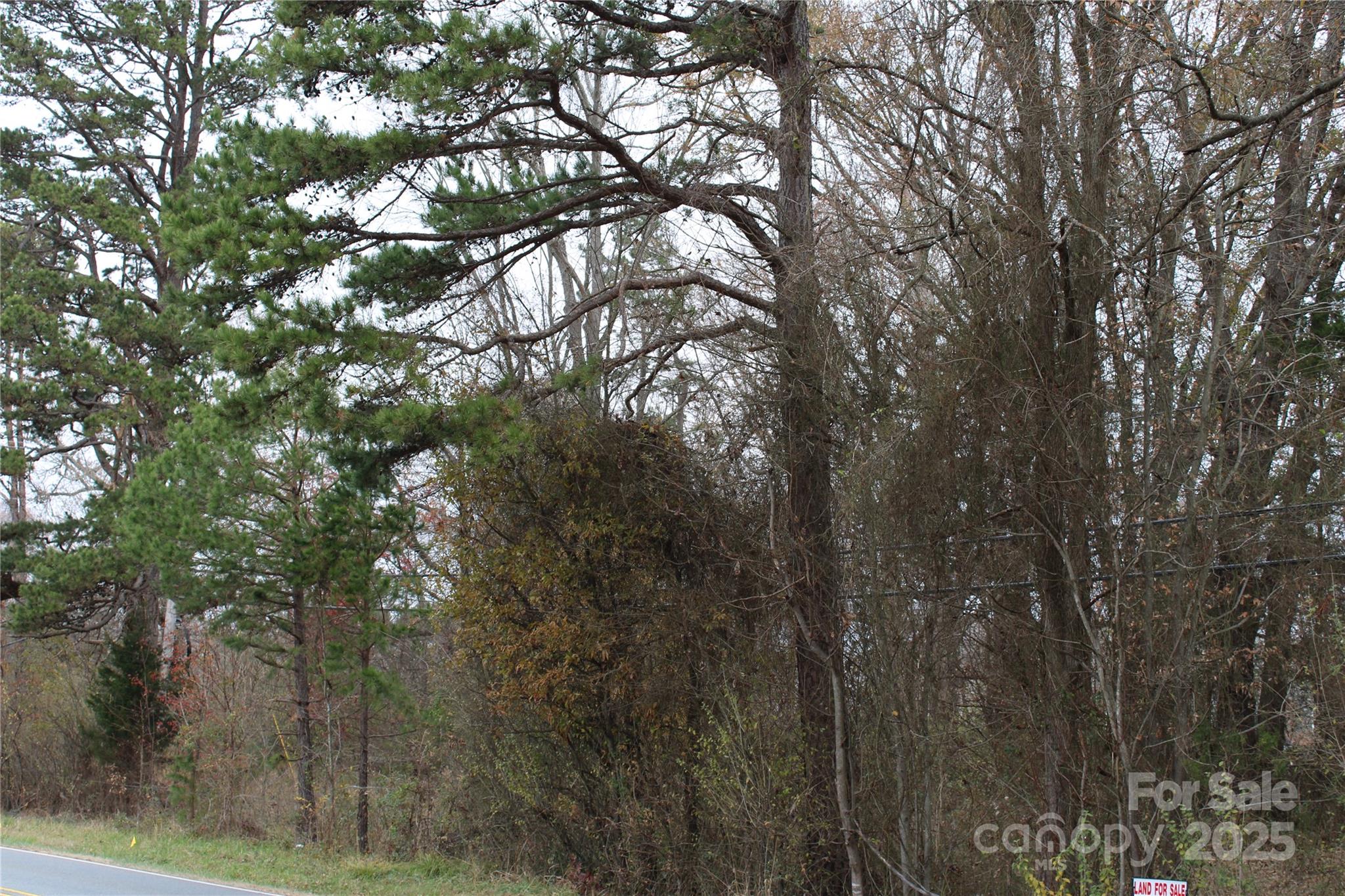 12400 Beatties Ford Road Property Photo 2