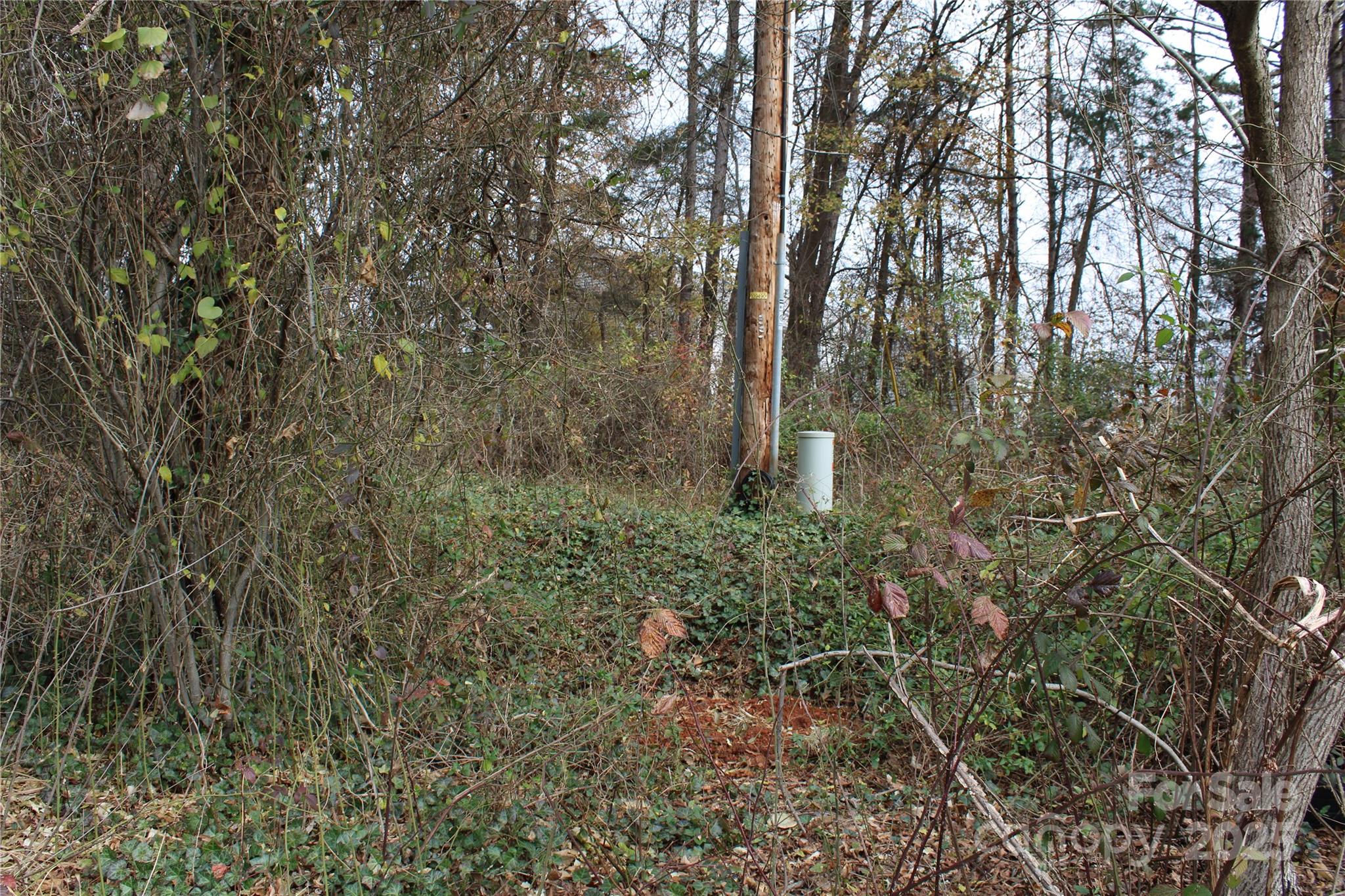12400 Beatties Ford Road Property Photo 7