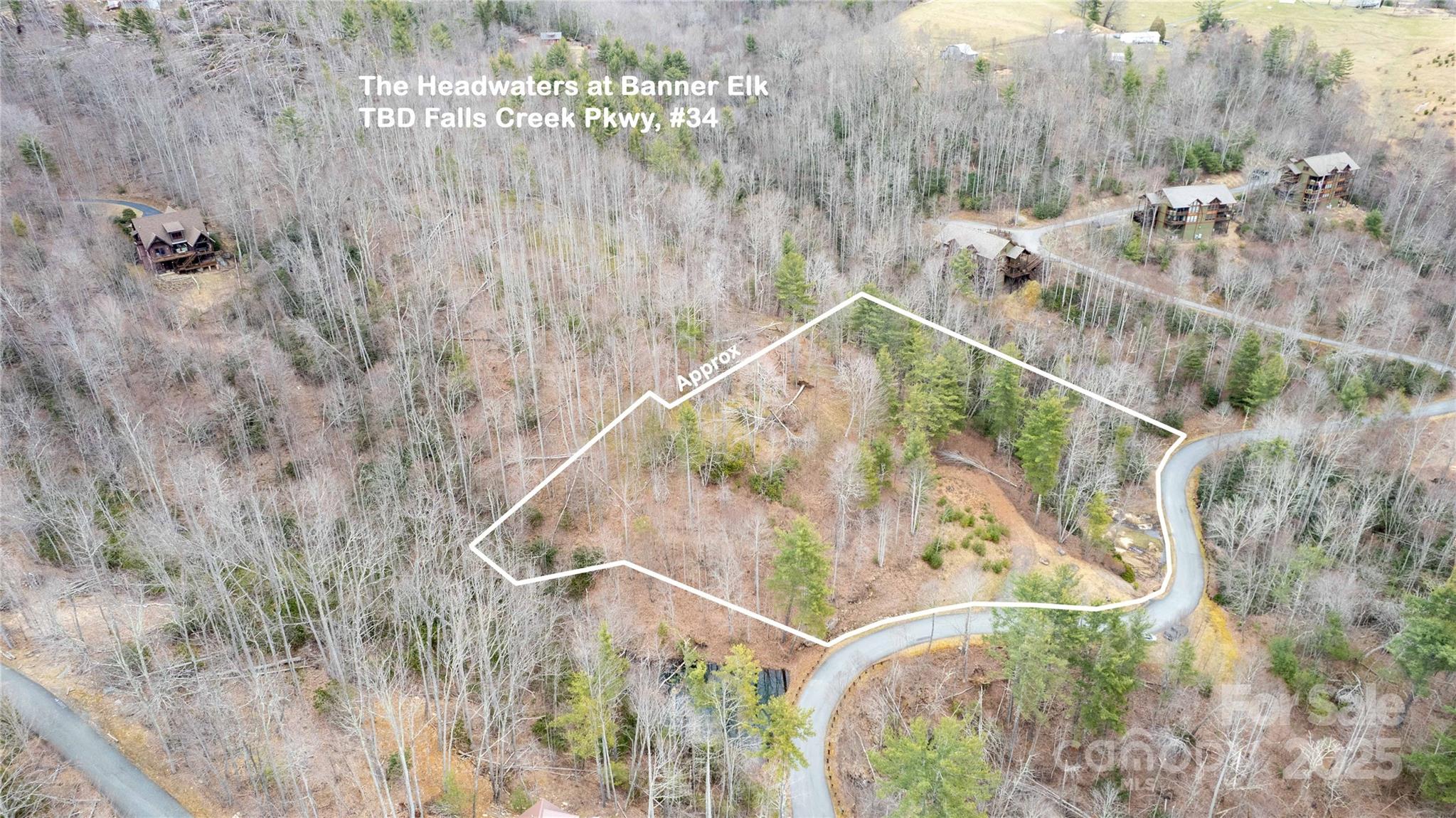 Tbd Falls Creek Parkway 34 Property Photo 3