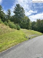 Tbd Falls Creek Parkway 34 Property Photo 5