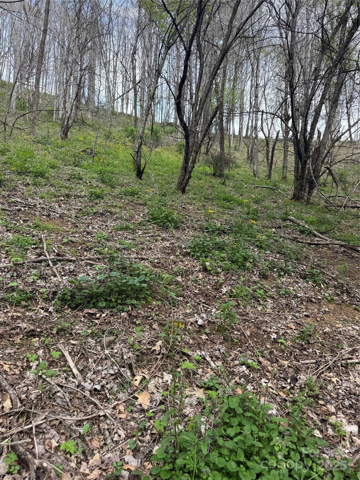 Tbd Birchfield Creek Property Photo