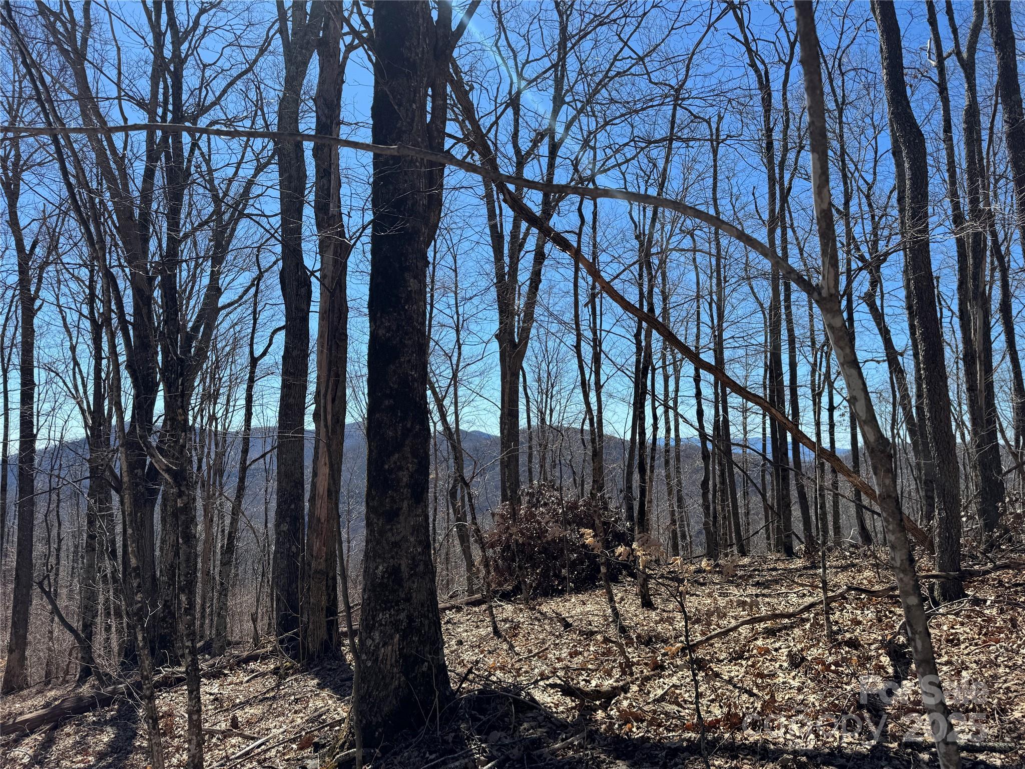 Tbd Doublehead Mountain Road Property Photo 2