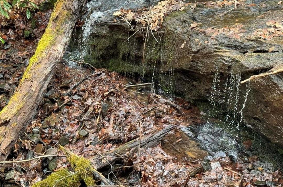Tbd Doublehead Mountain Road Property Photo 4