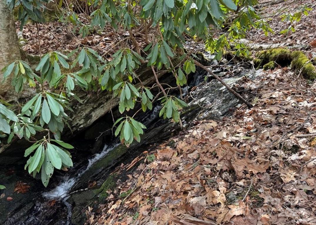 Tbd Doublehead Mountain Road Property Photo 5