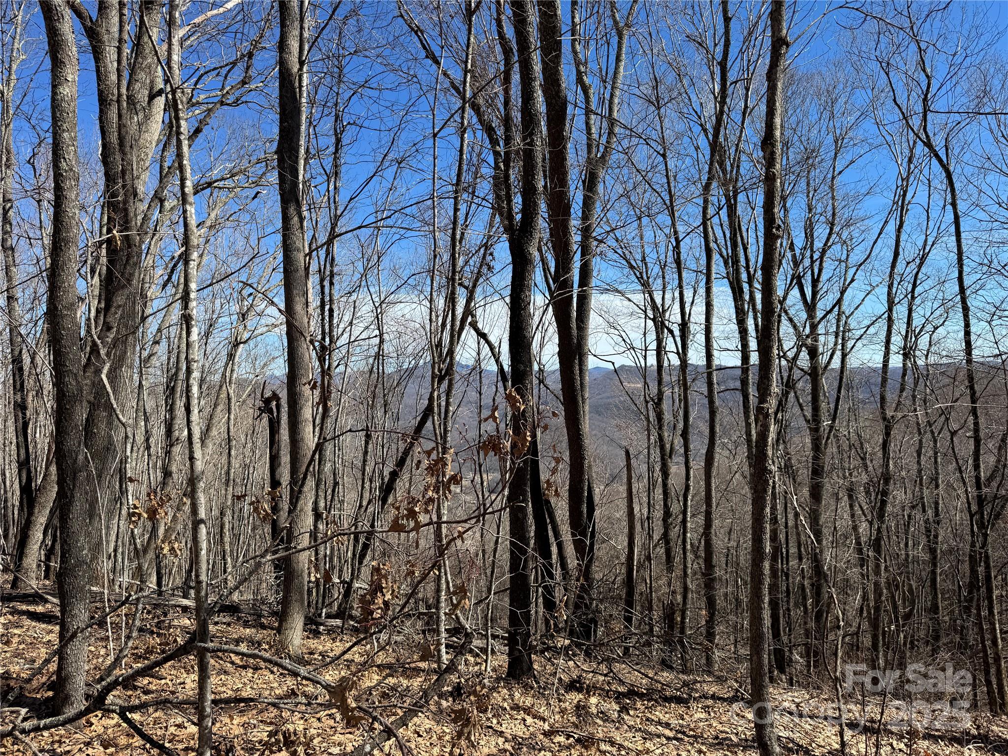 Tbd Doublehead Mountain Road Property Photo 6