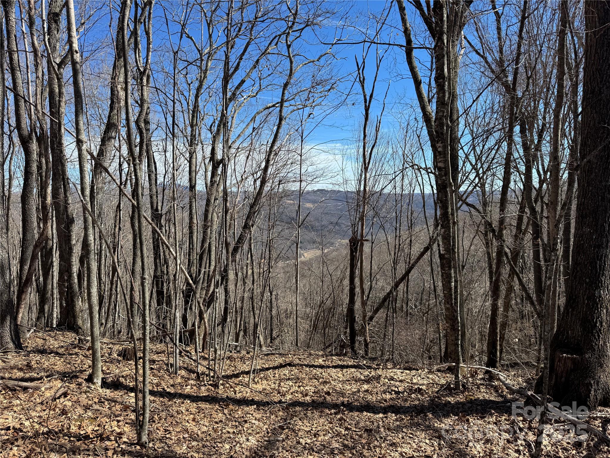 Tbd Doublehead Mountain Road Property Photo 7