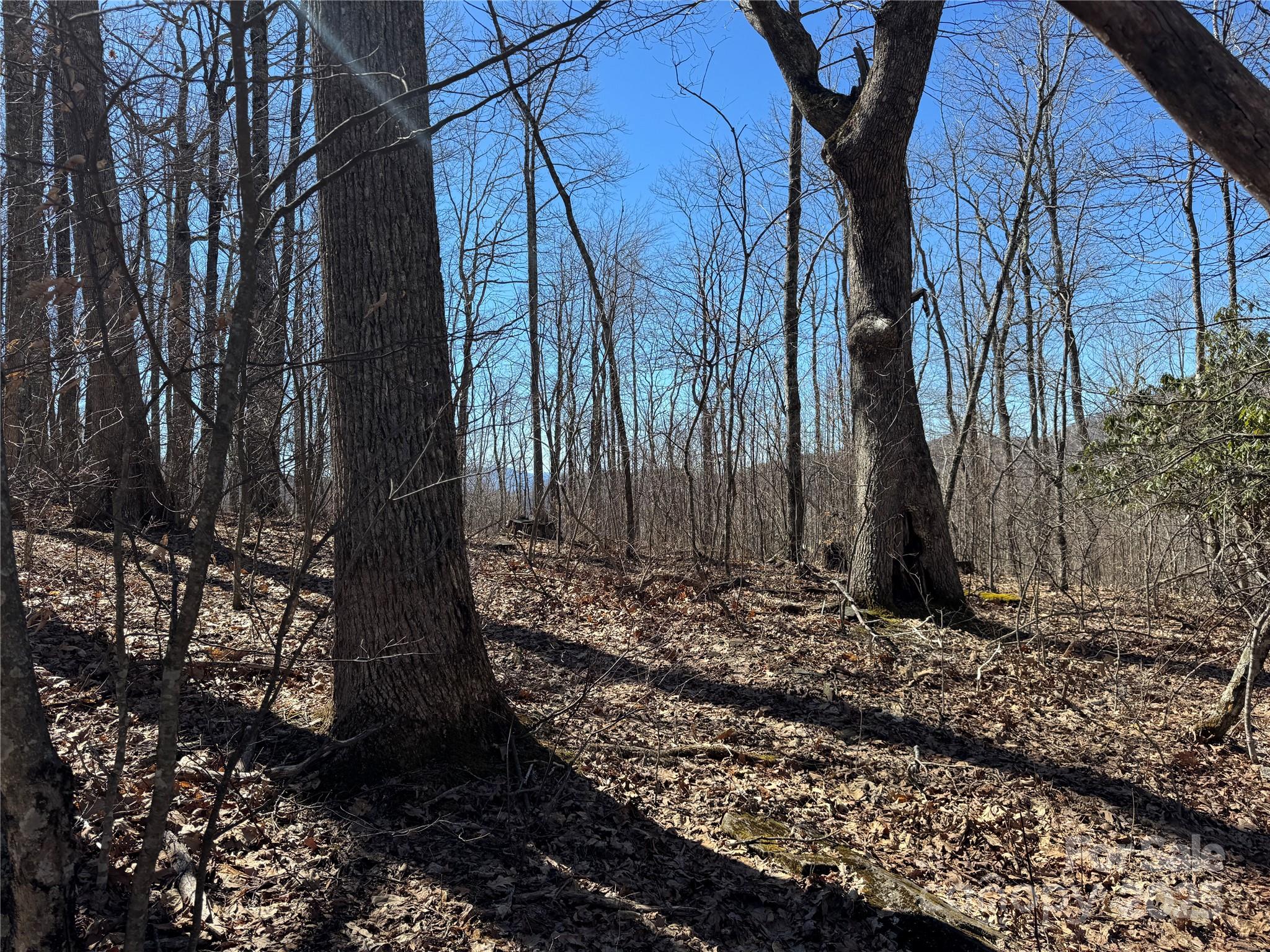 Tbd Doublehead Mountain Road Property Photo 8