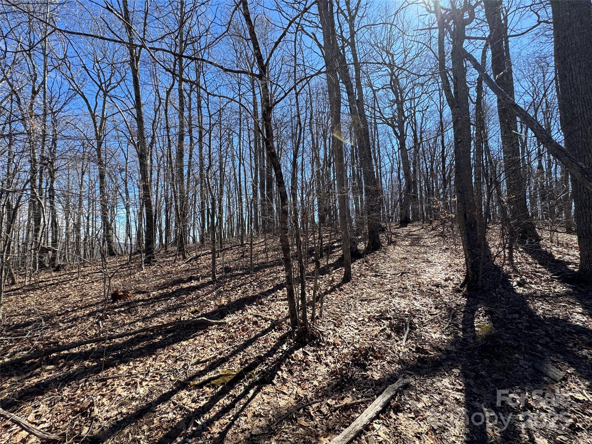 Tbd Doublehead Mountain Road Property Photo 9