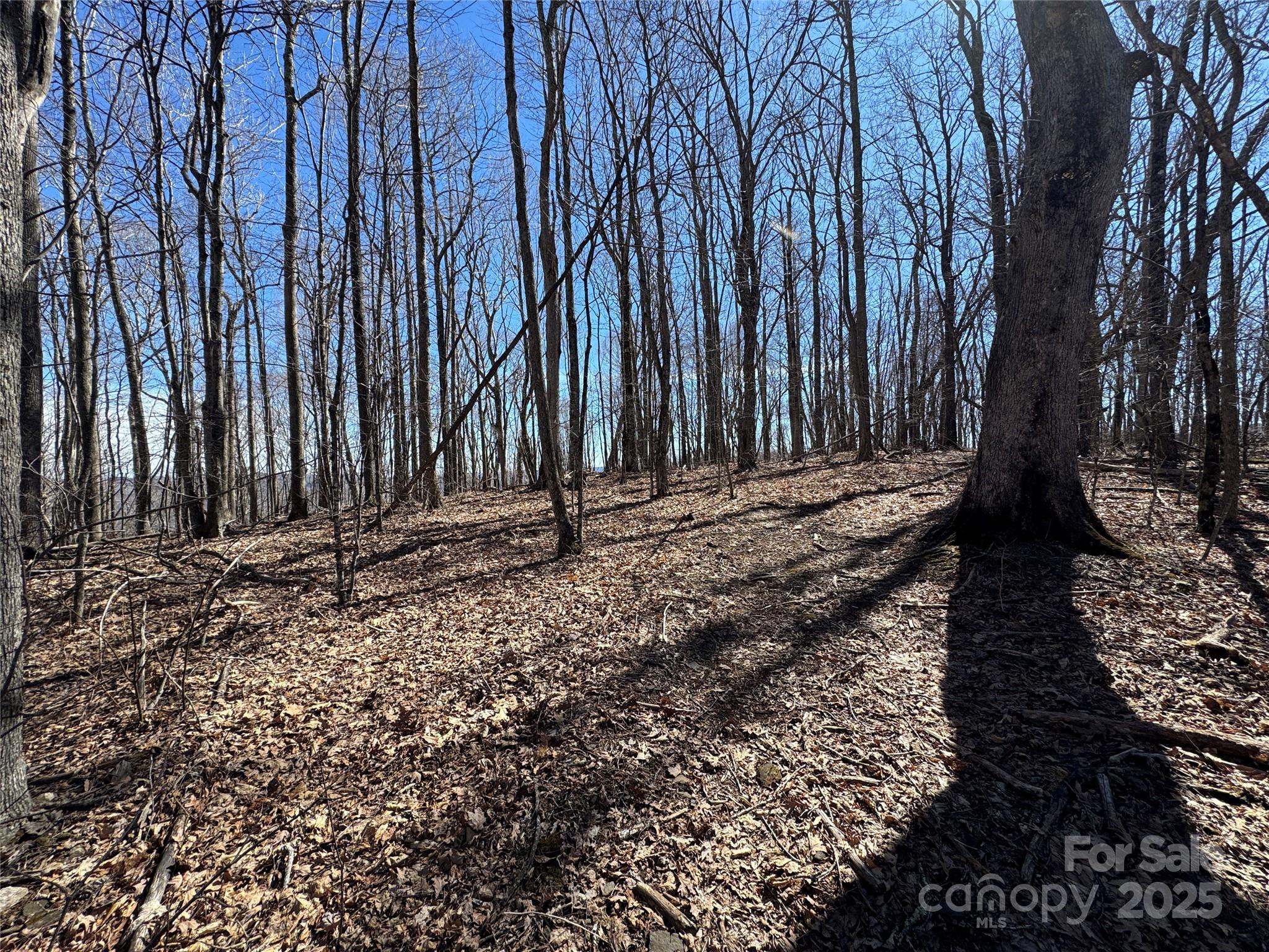 Tbd Doublehead Mountain Road Property Photo 10