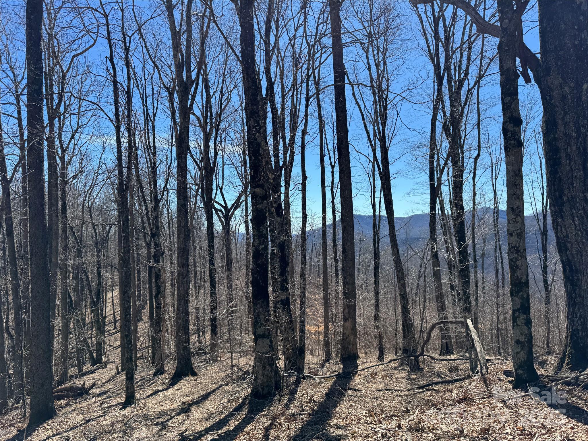Tbd Doublehead Mountain Road Property Photo 11