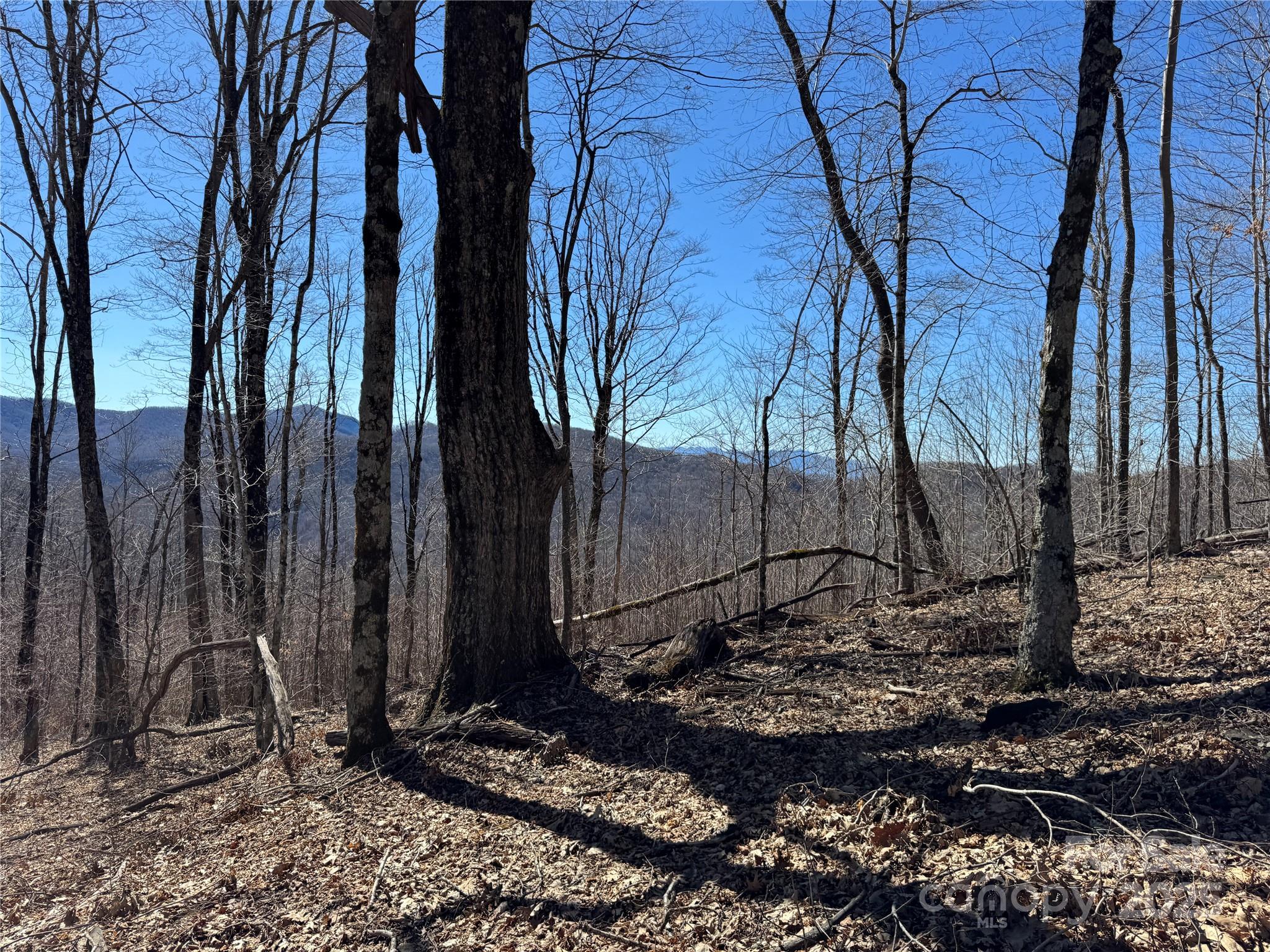 Tbd Doublehead Mountain Road Property Photo 12