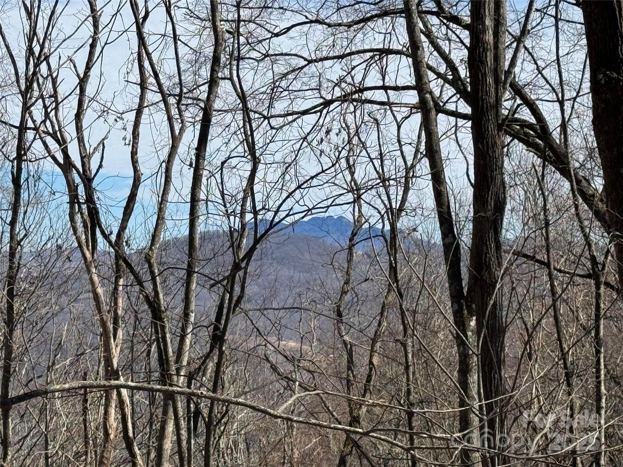 Tbd Doublehead Mountain Road Property Photo 13
