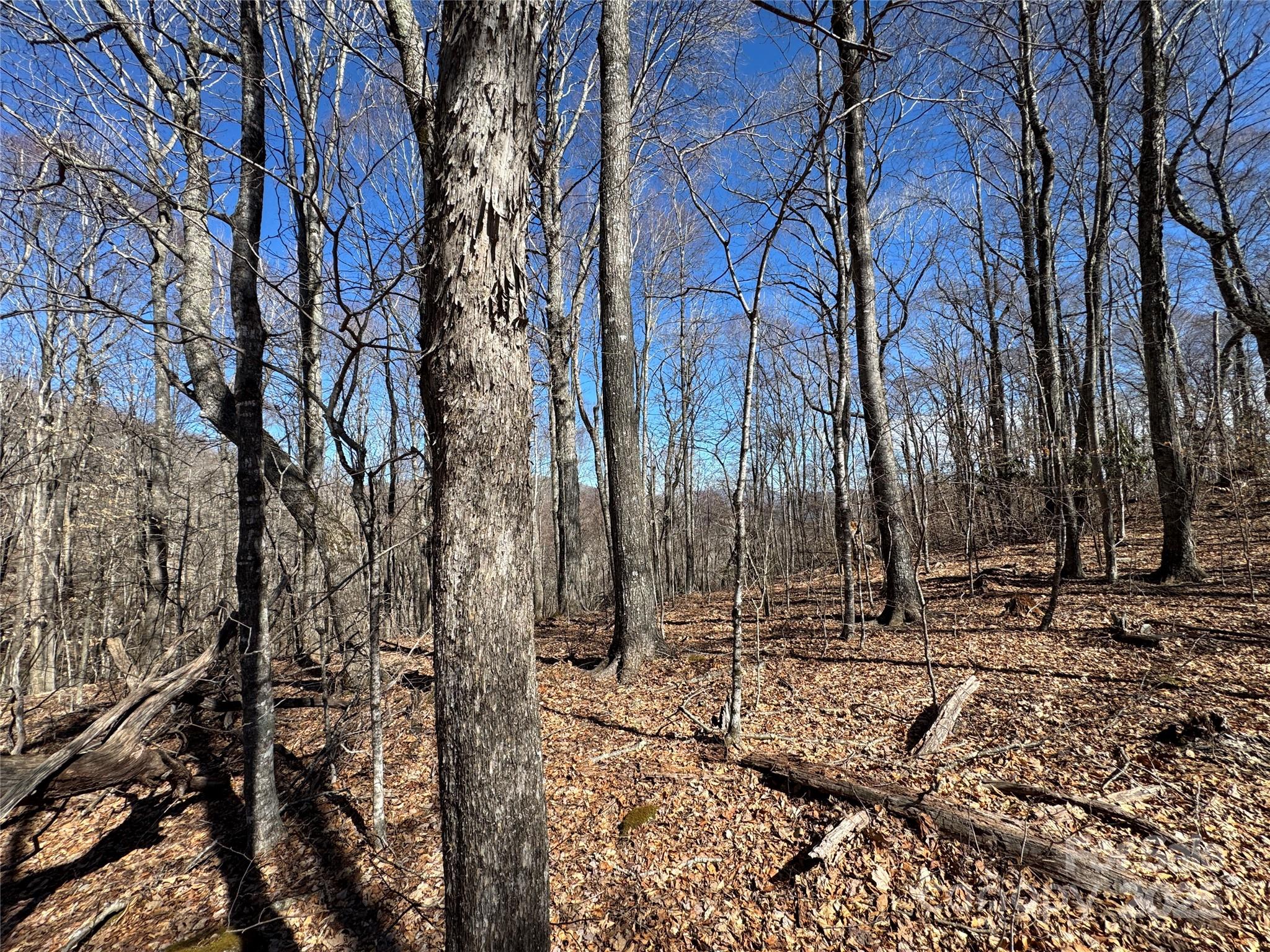 Tbd Doublehead Mountain Road Property Photo 15