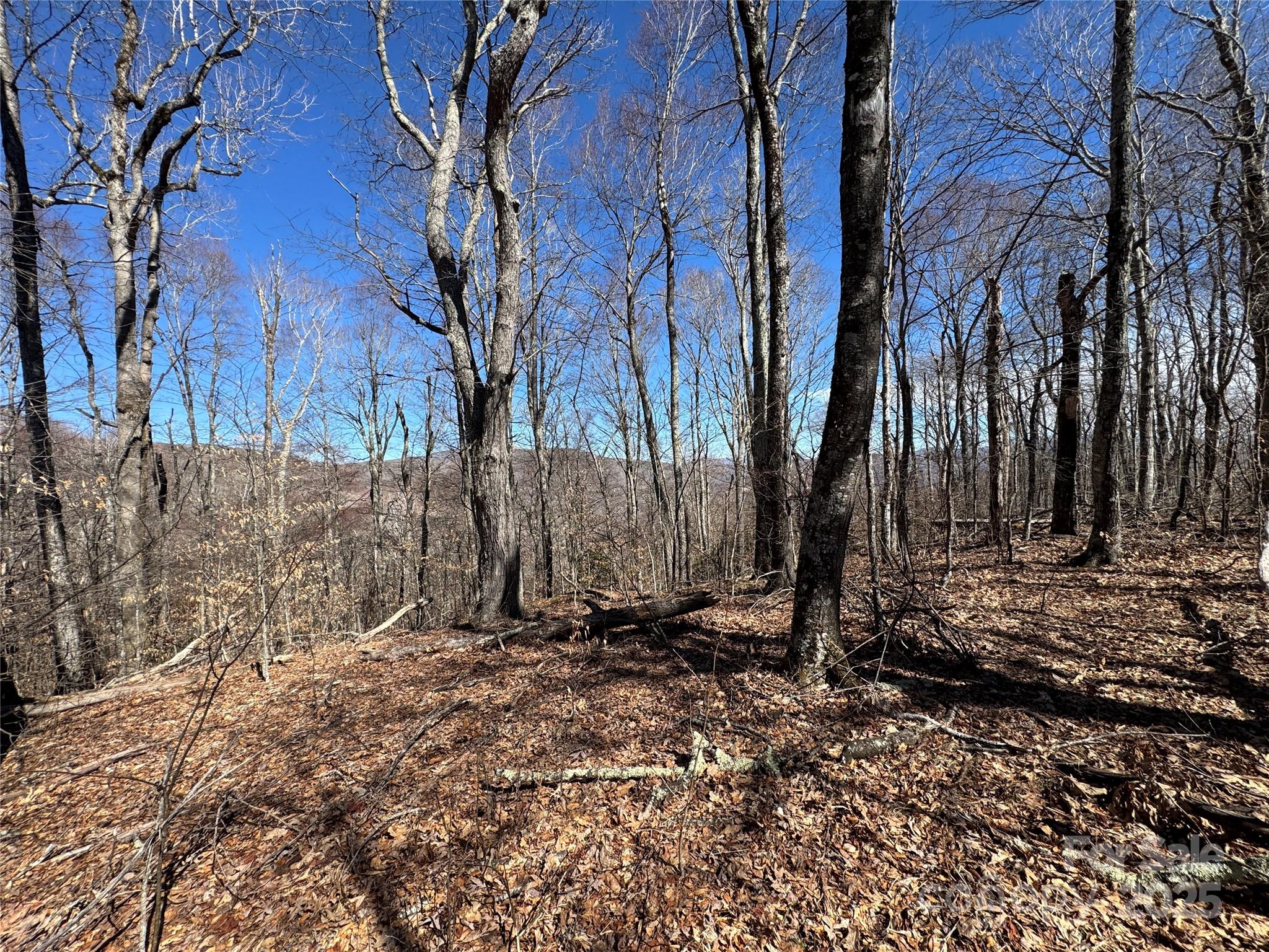 Tbd Doublehead Mountain Road Property Photo 16