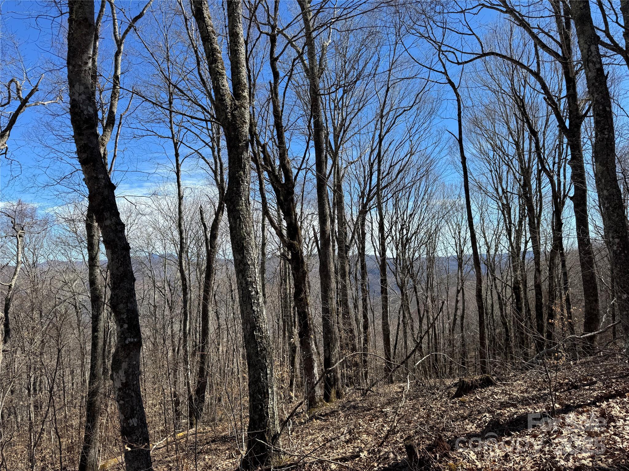 Tbd Doublehead Mountain Road Property Photo 17