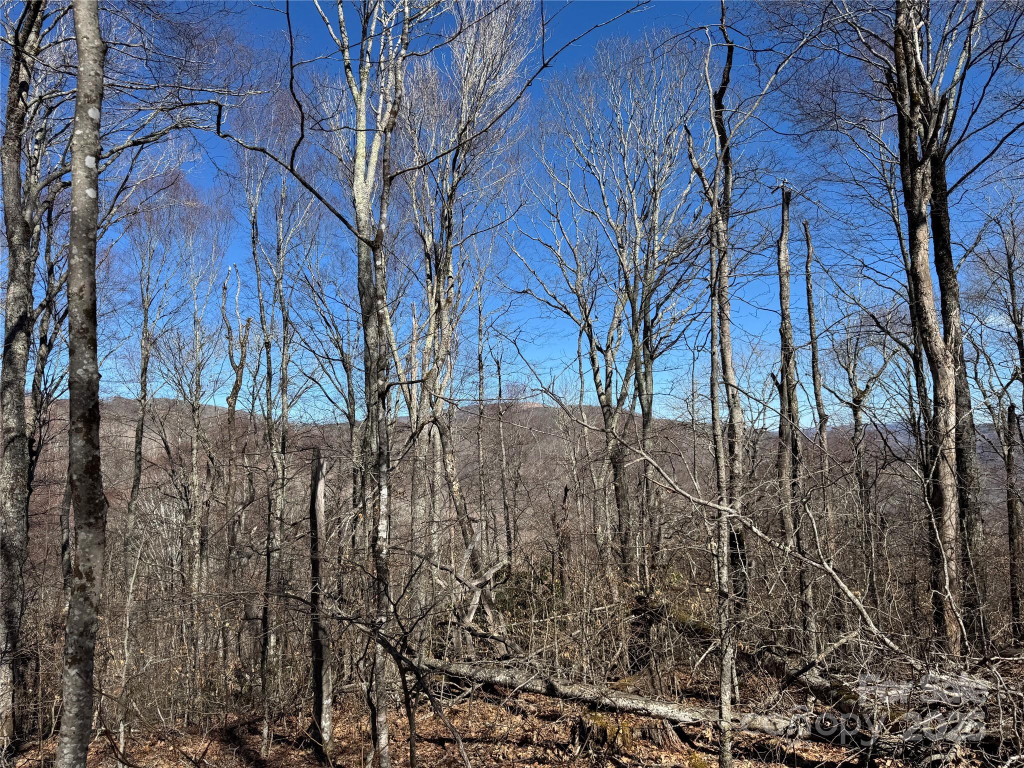 Tbd Doublehead Mountain Road Property Photo 18