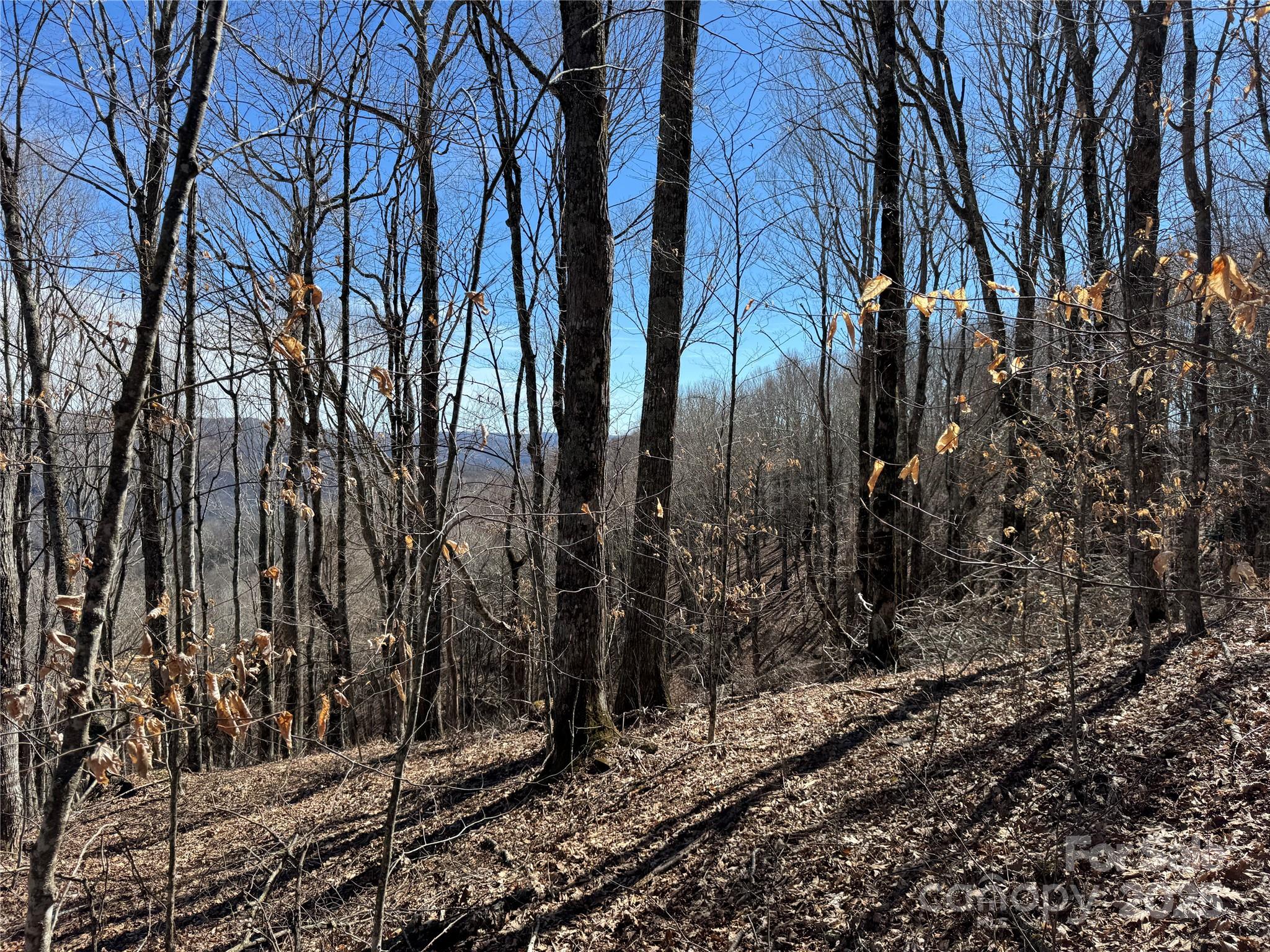 Tbd Doublehead Mountain Road Property Photo 19