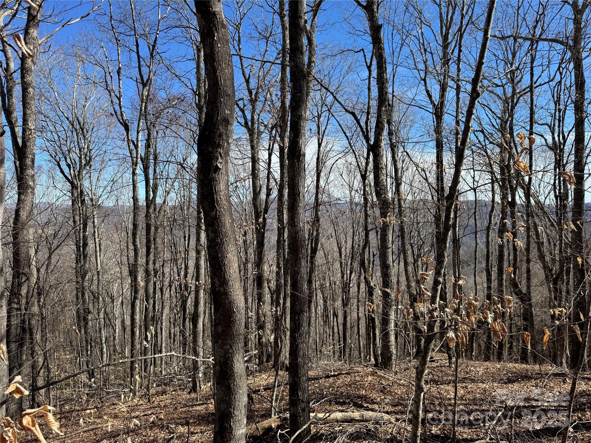 Tbd Doublehead Mountain Road Property Photo 20