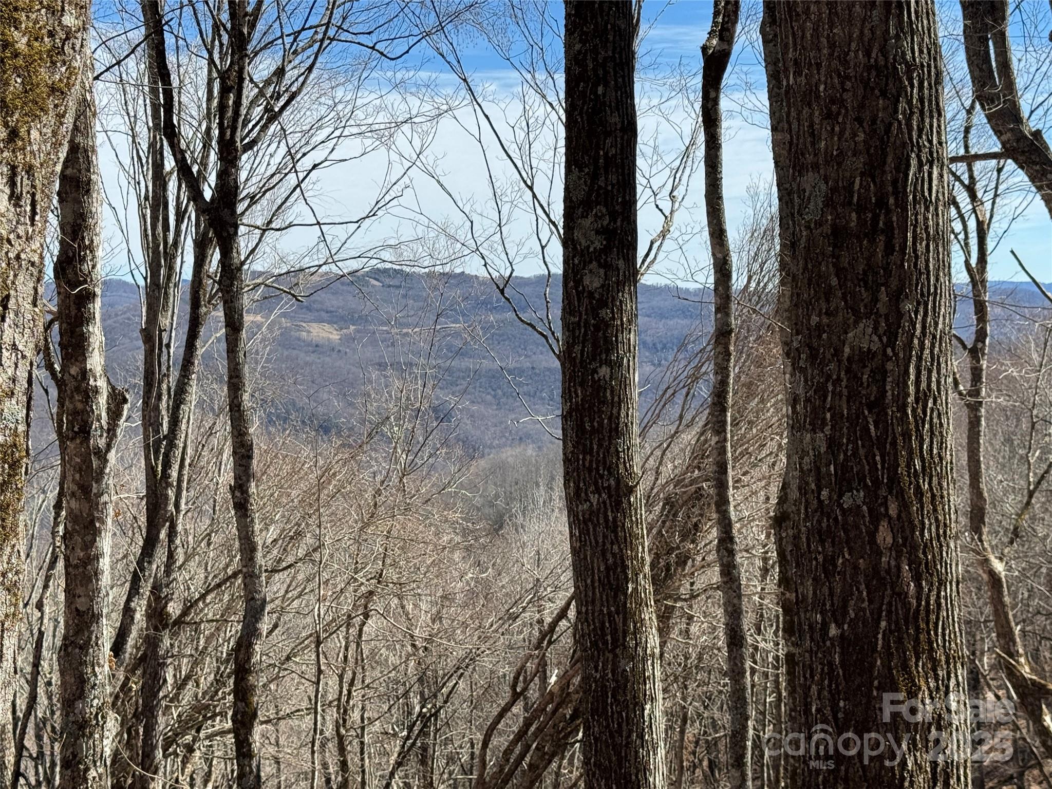 Tbd Doublehead Mountain Road Property Photo 21