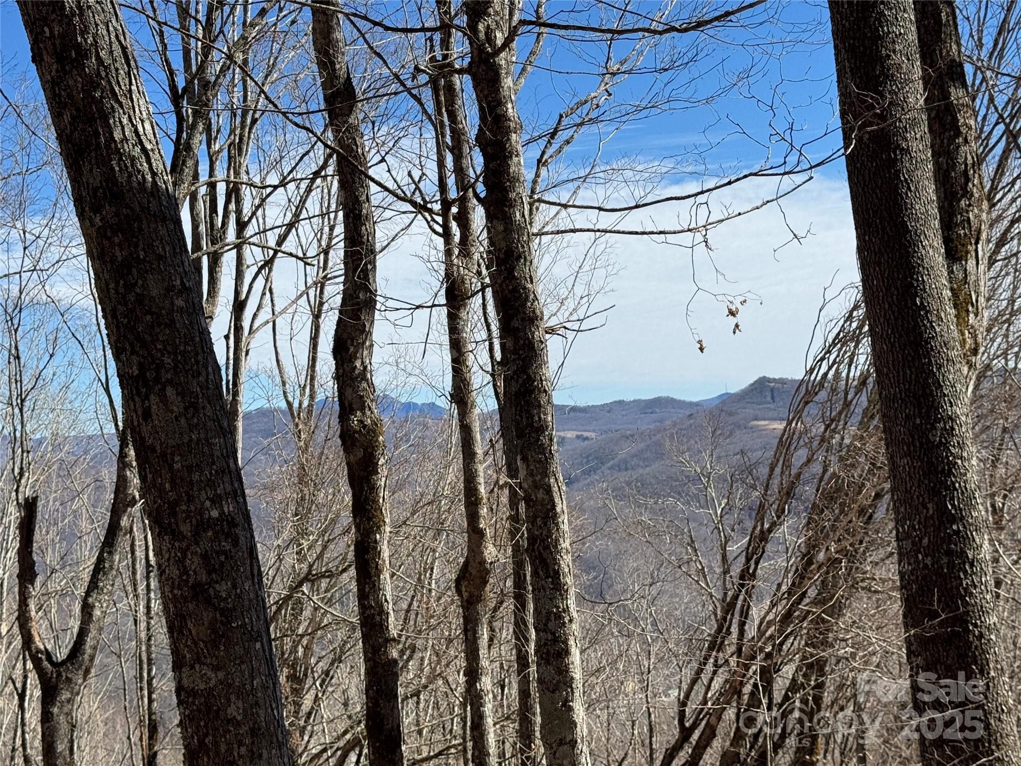 Tbd Doublehead Mountain Road Property Photo 22