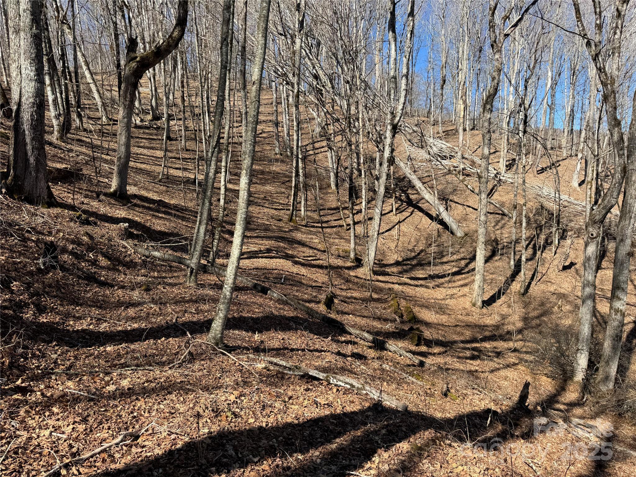 Tbd Doublehead Mountain Road Property Photo 23