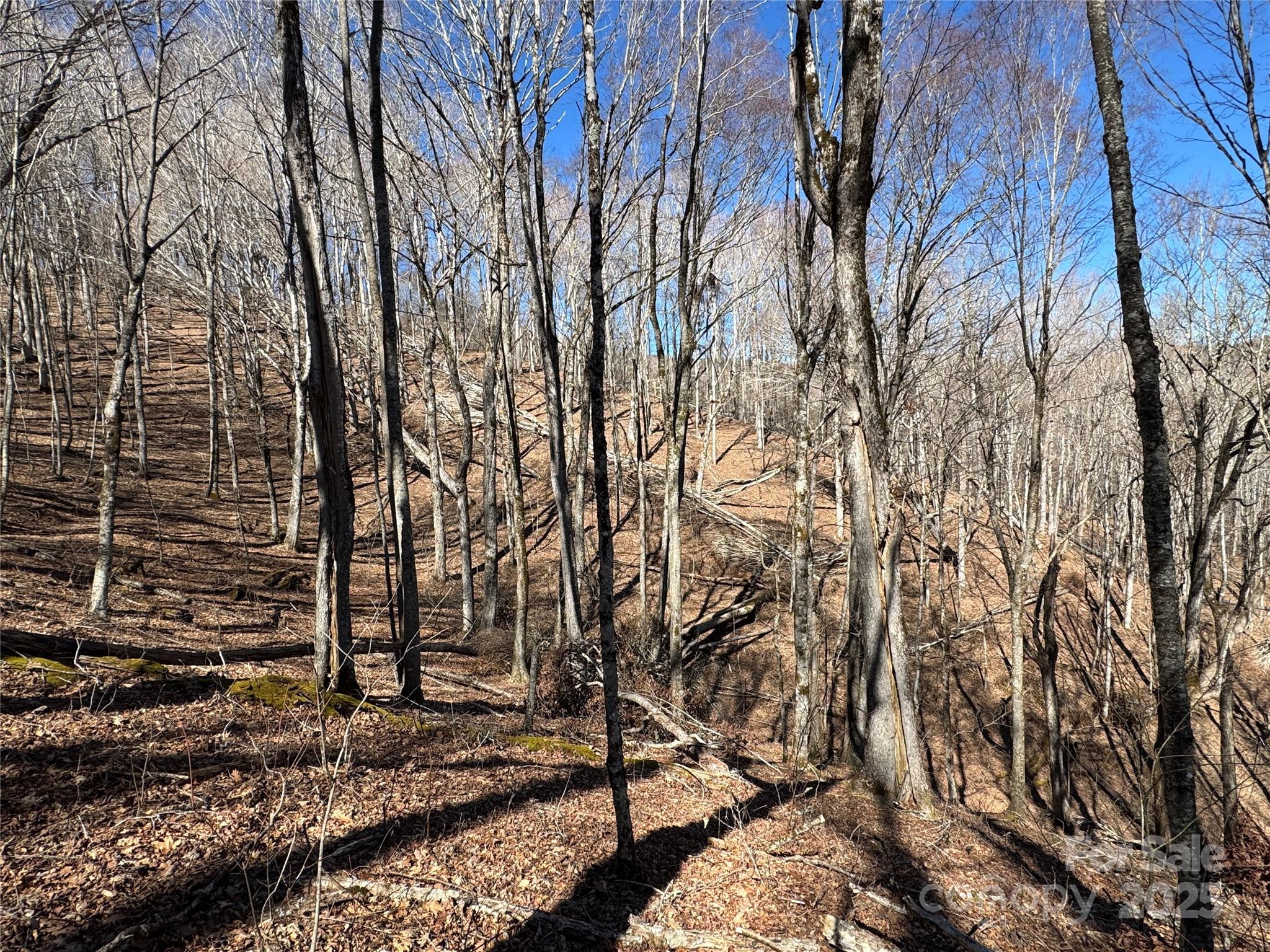 Tbd Doublehead Mountain Road Property Photo 24