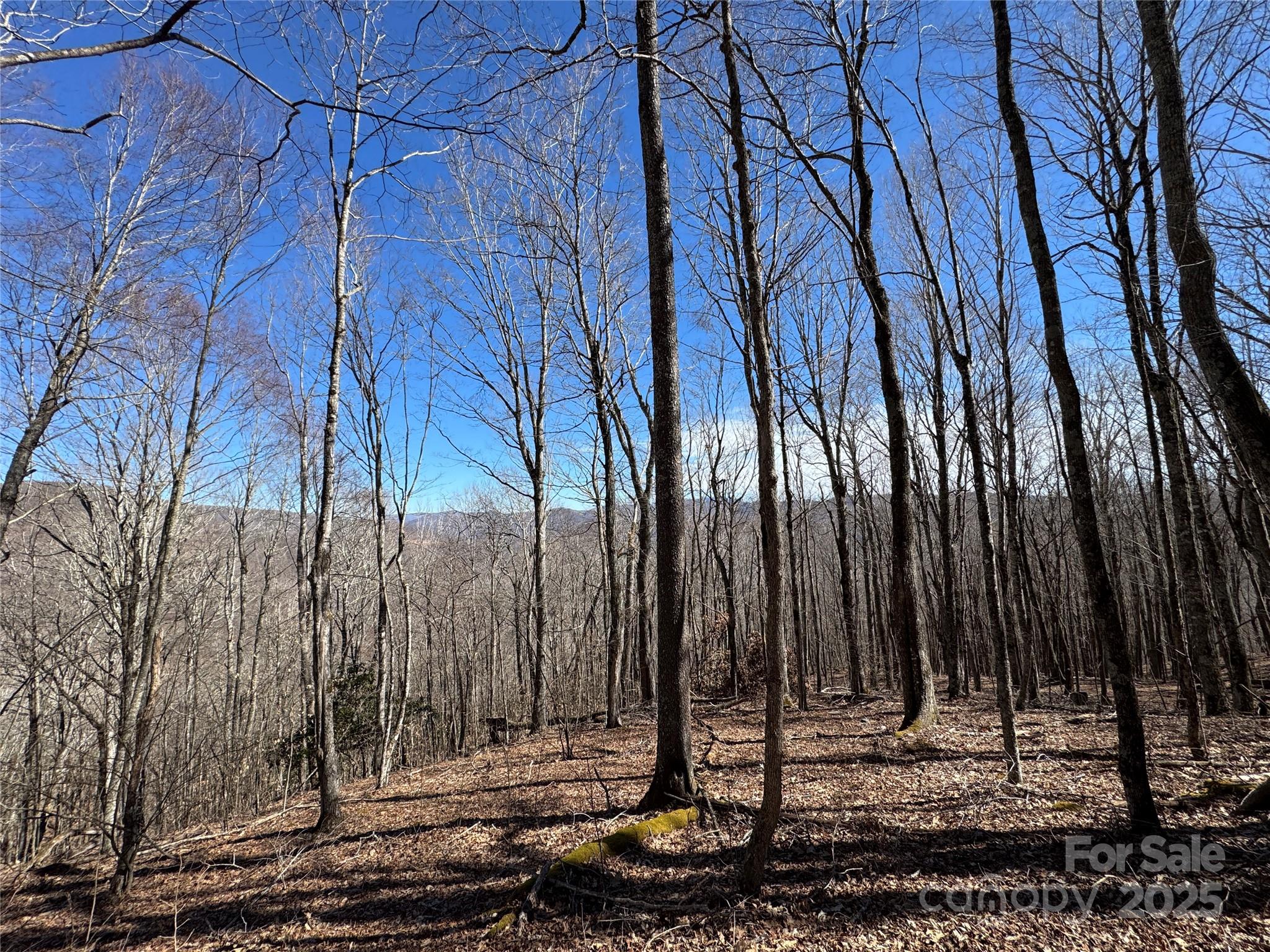 Tbd Doublehead Mountain Road Property Photo 25