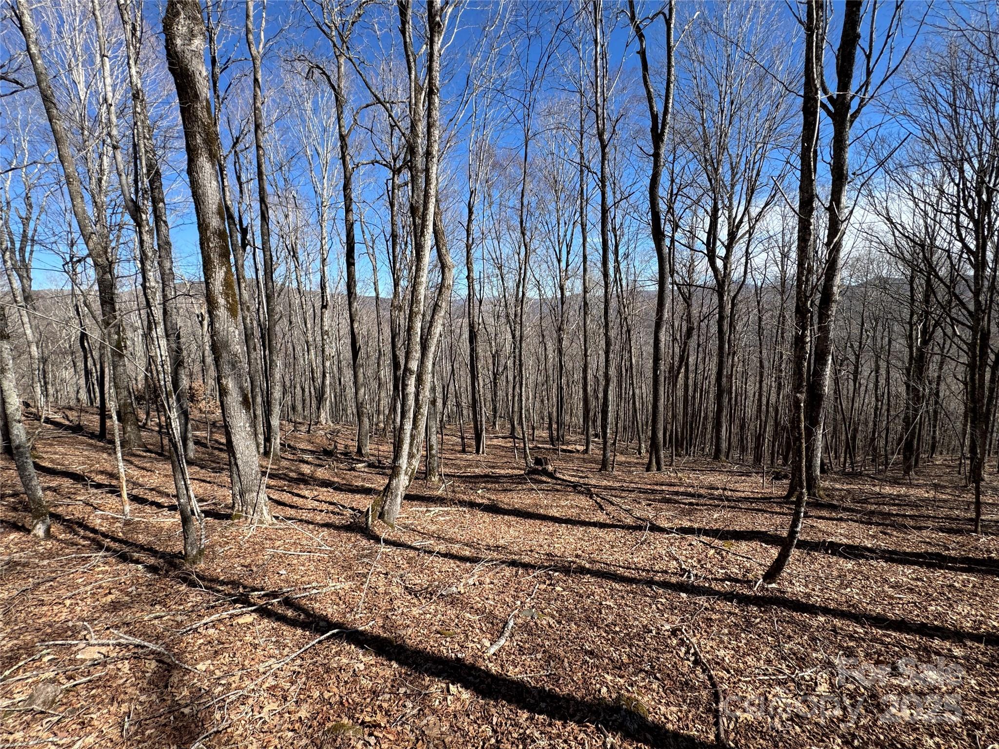 Tbd Doublehead Mountain Road Property Photo 26
