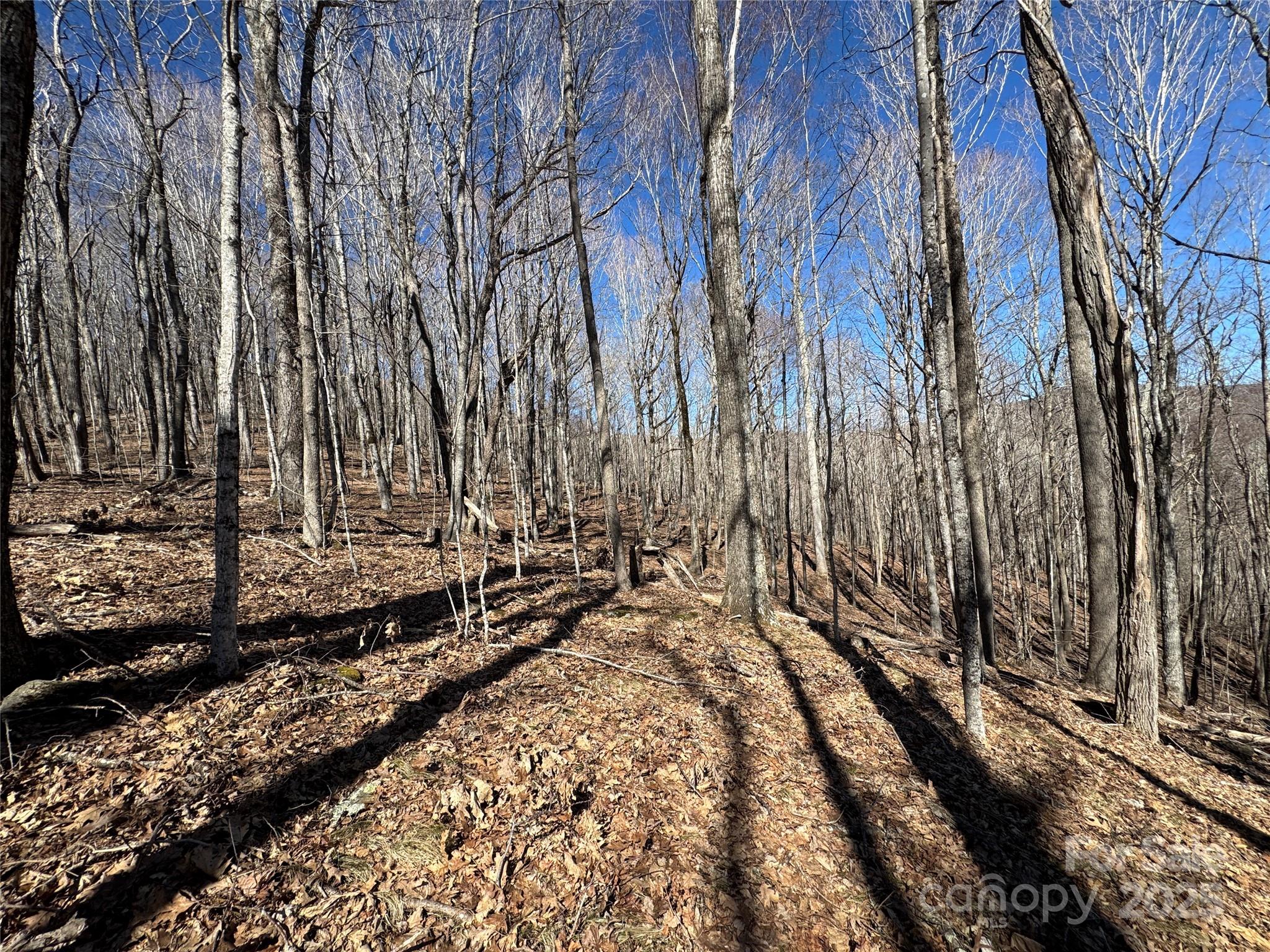 Tbd Doublehead Mountain Road Property Photo 27