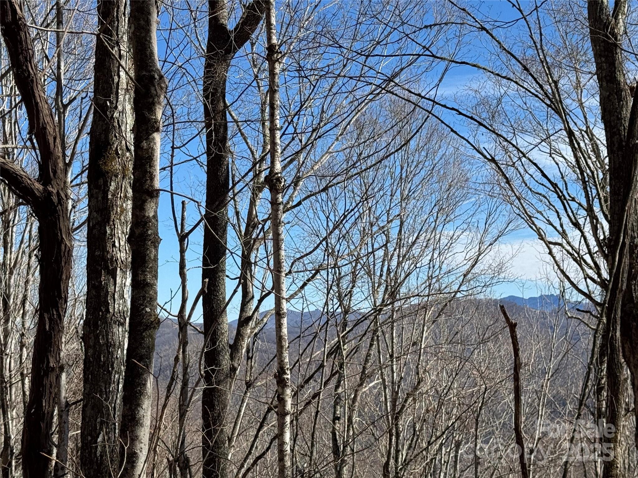Tbd Doublehead Mountain Road Property Photo 28