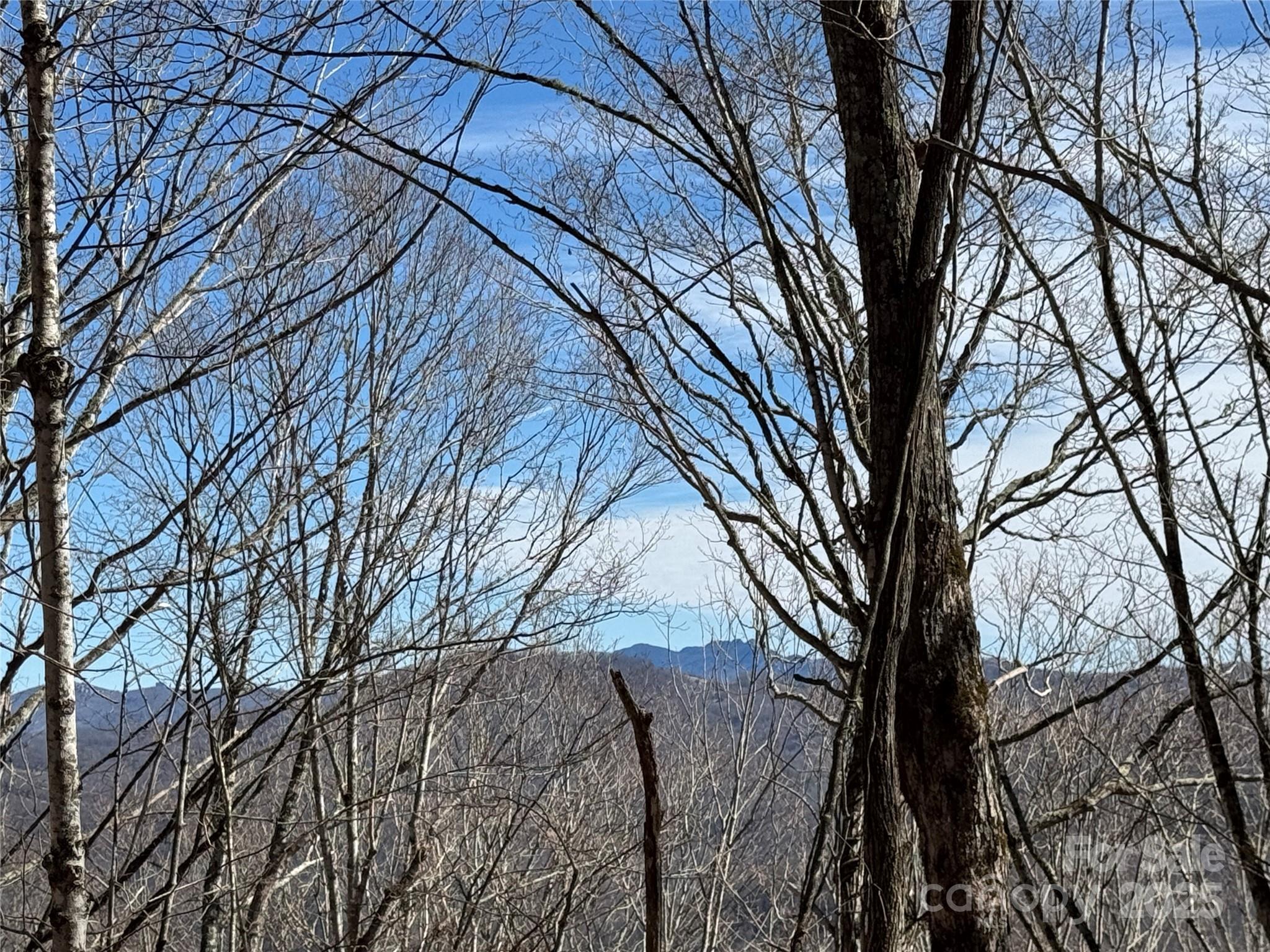 Tbd Doublehead Mountain Road Property Photo 29