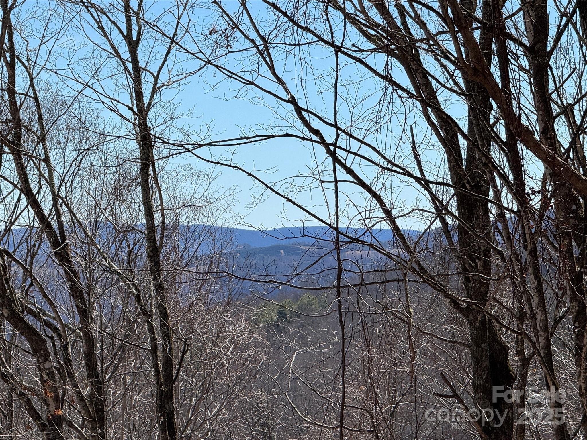 Tbd Doublehead Mountain Road Property Photo 30