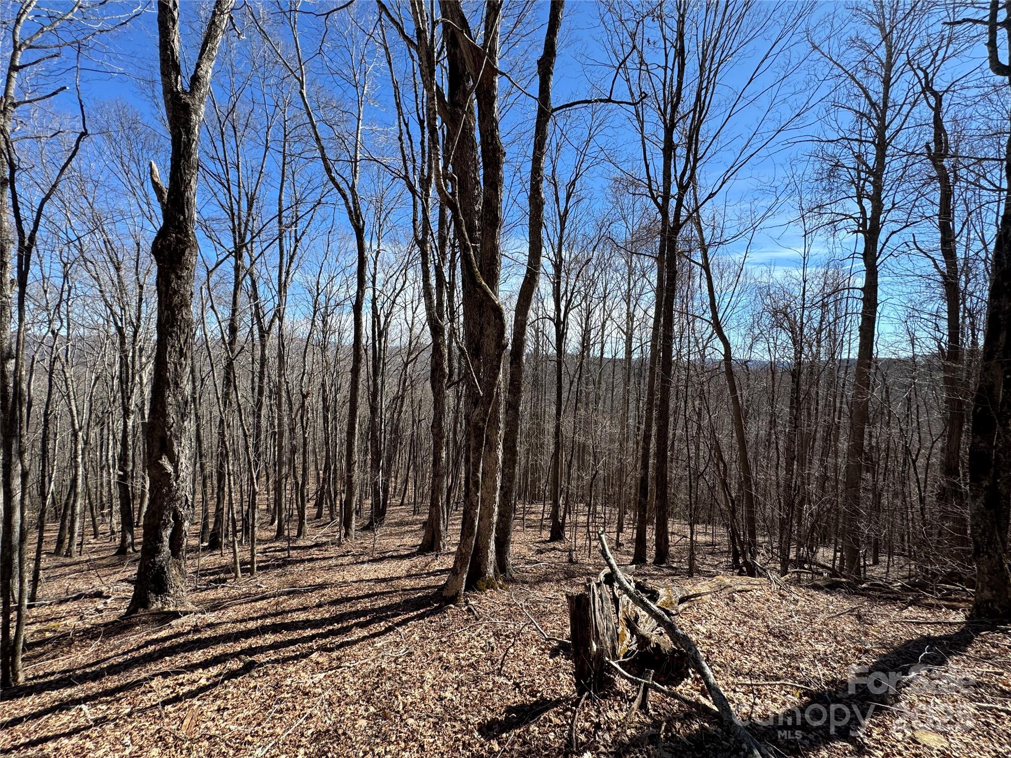 Tbd Doublehead Mountain Road Property Photo 38
