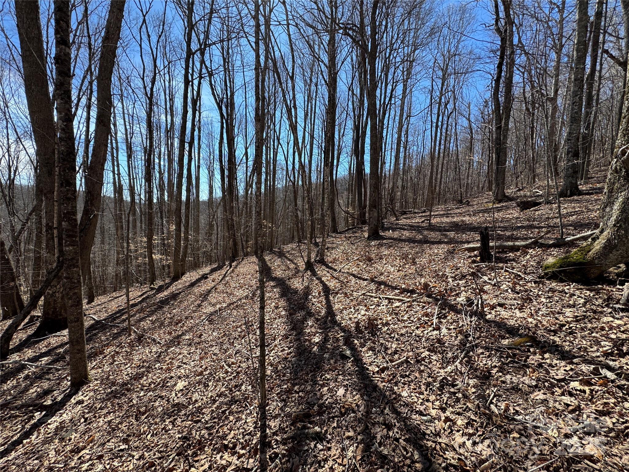 Tbd Doublehead Mountain Road Property Photo 39