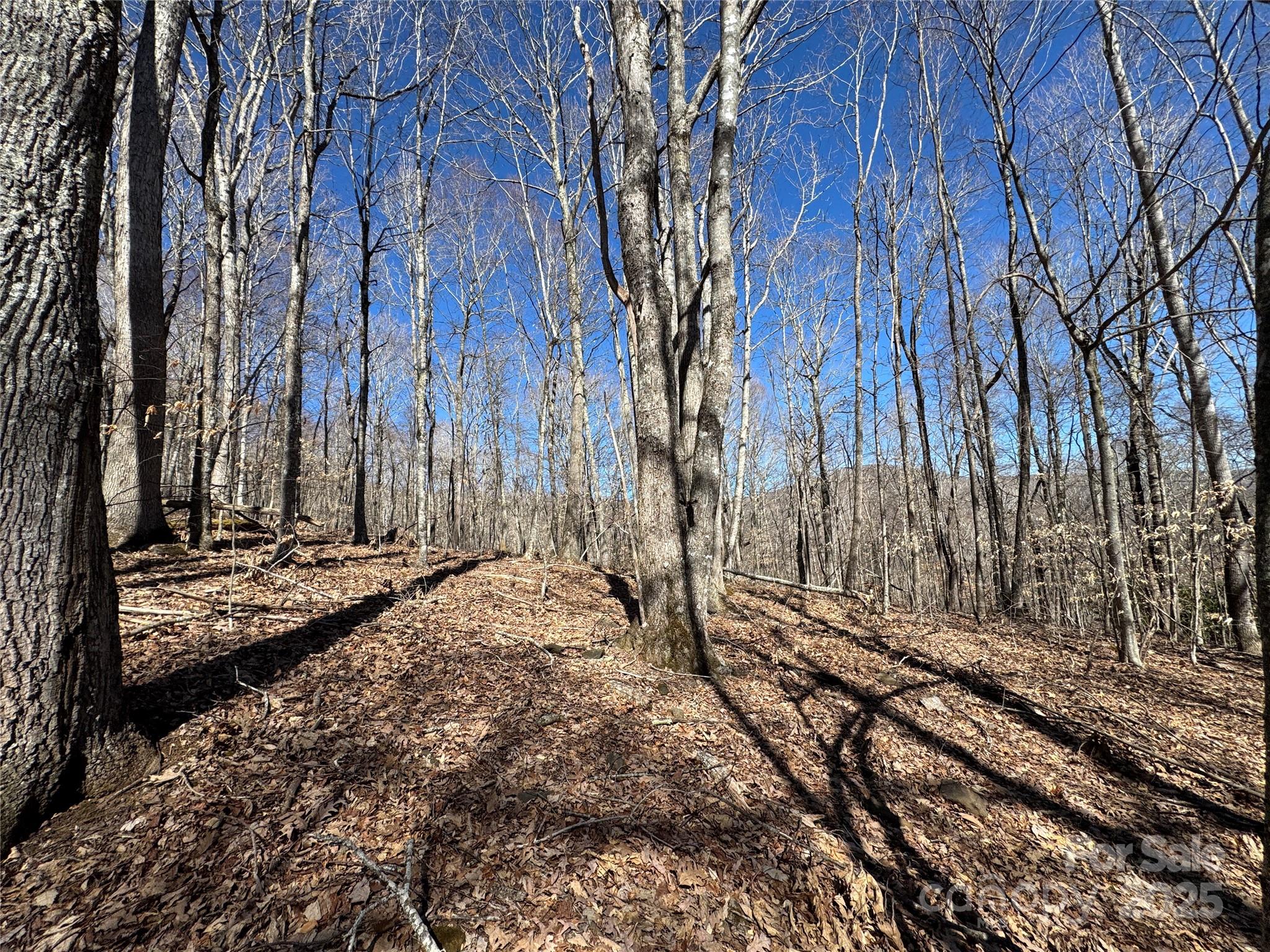 Tbd Doublehead Mountain Road Property Photo 40