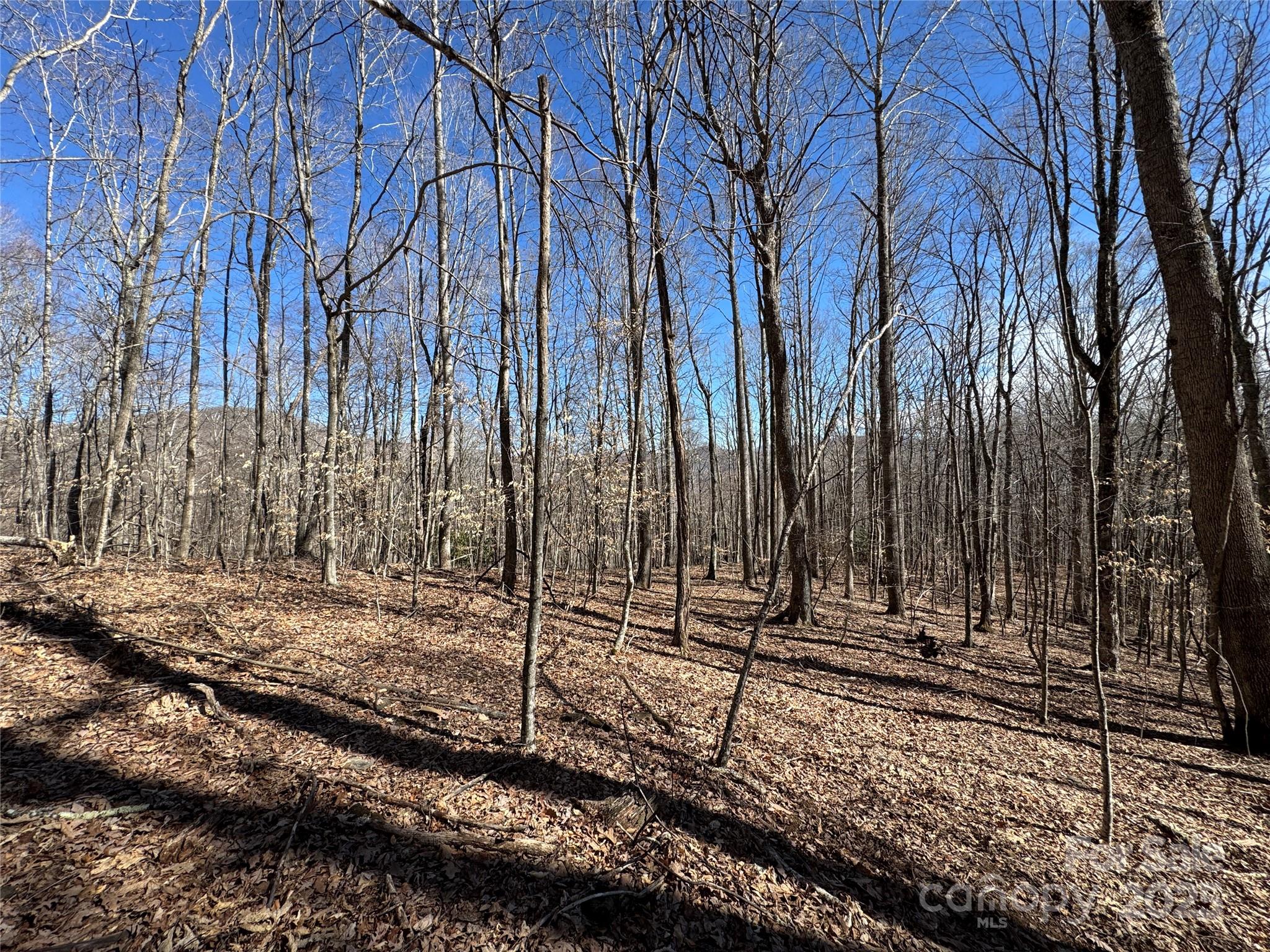 Tbd Doublehead Mountain Road Property Photo 41