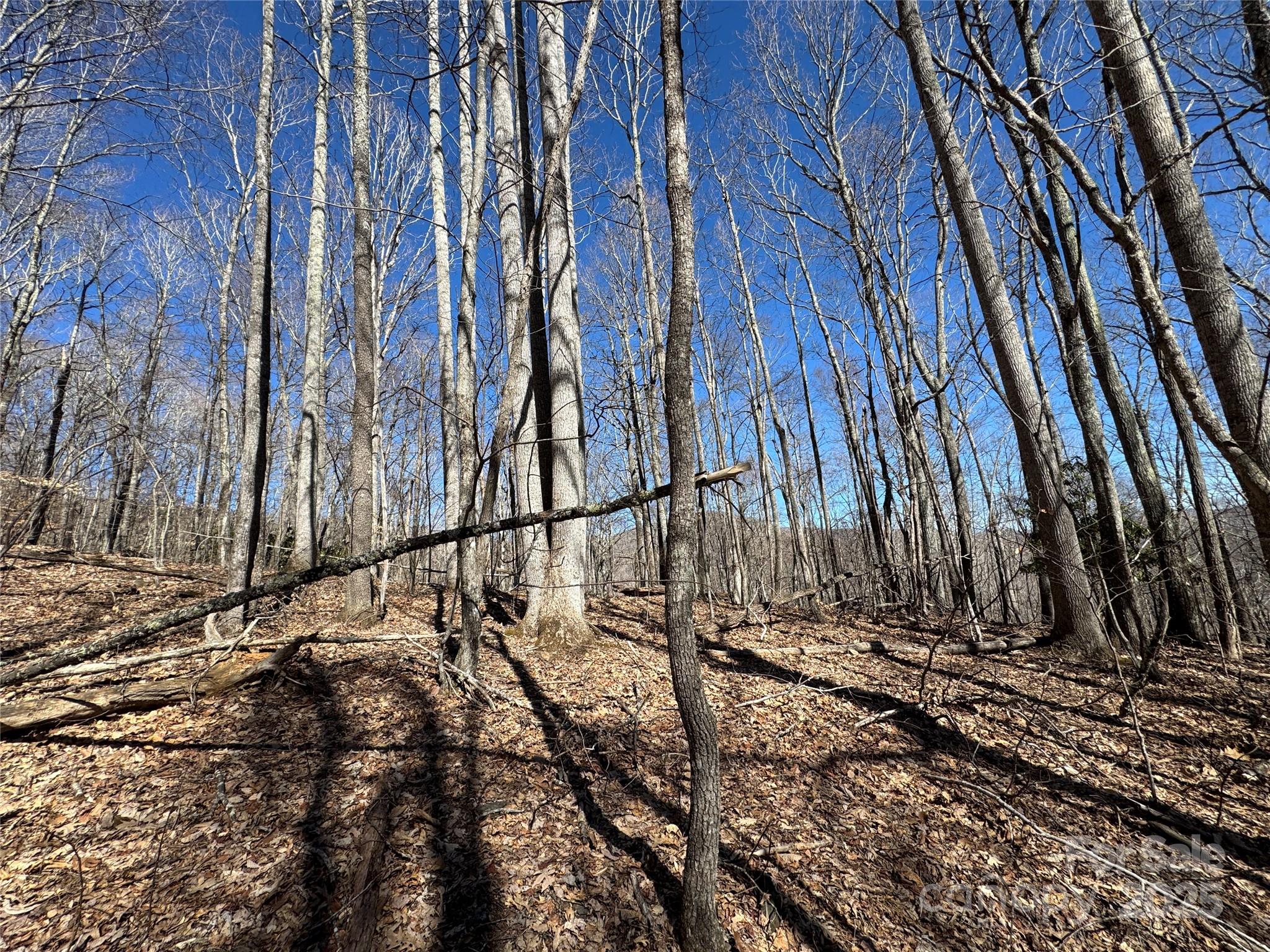 Tbd Doublehead Mountain Road Property Photo 42