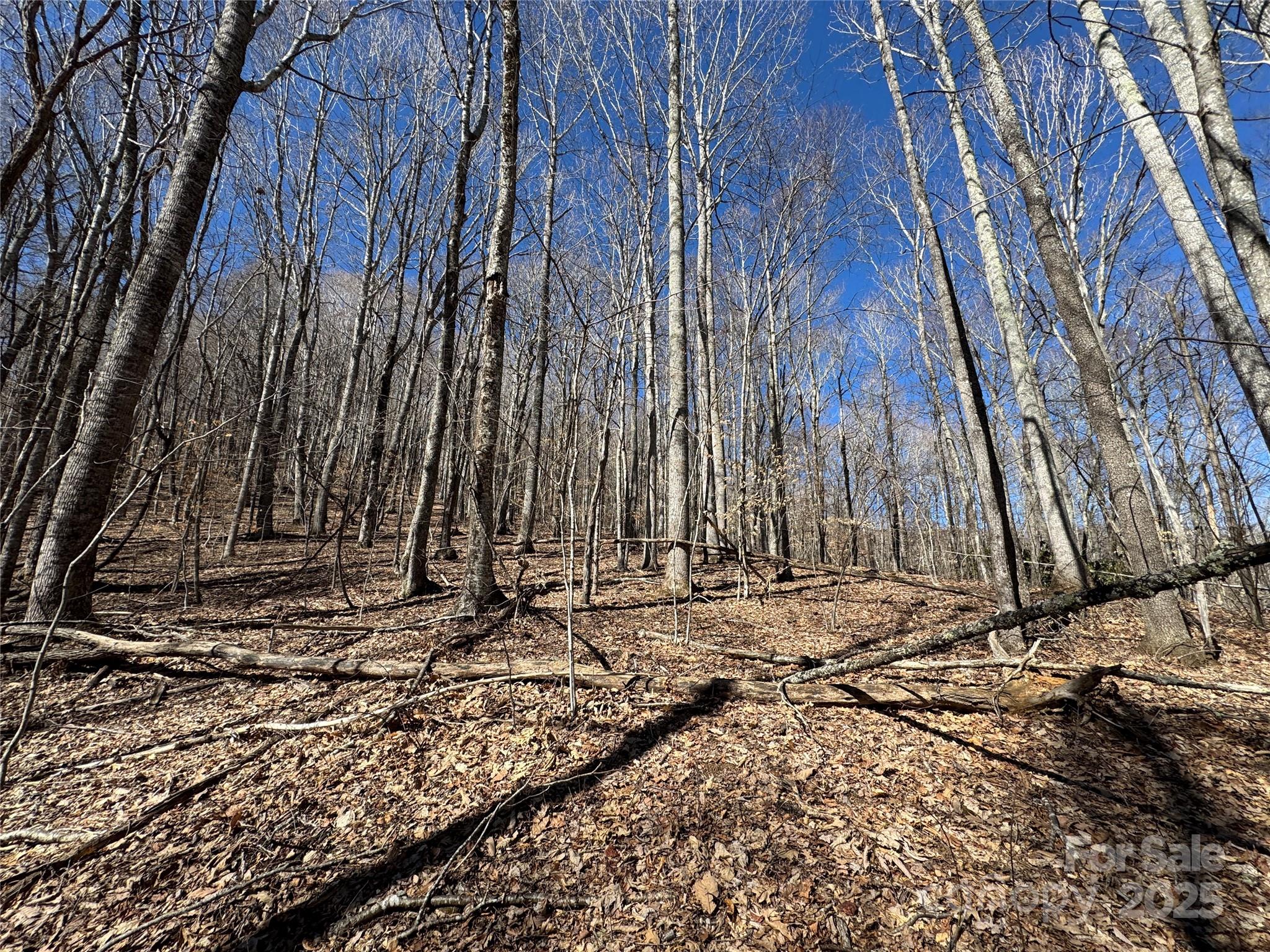 Tbd Doublehead Mountain Road Property Photo 43