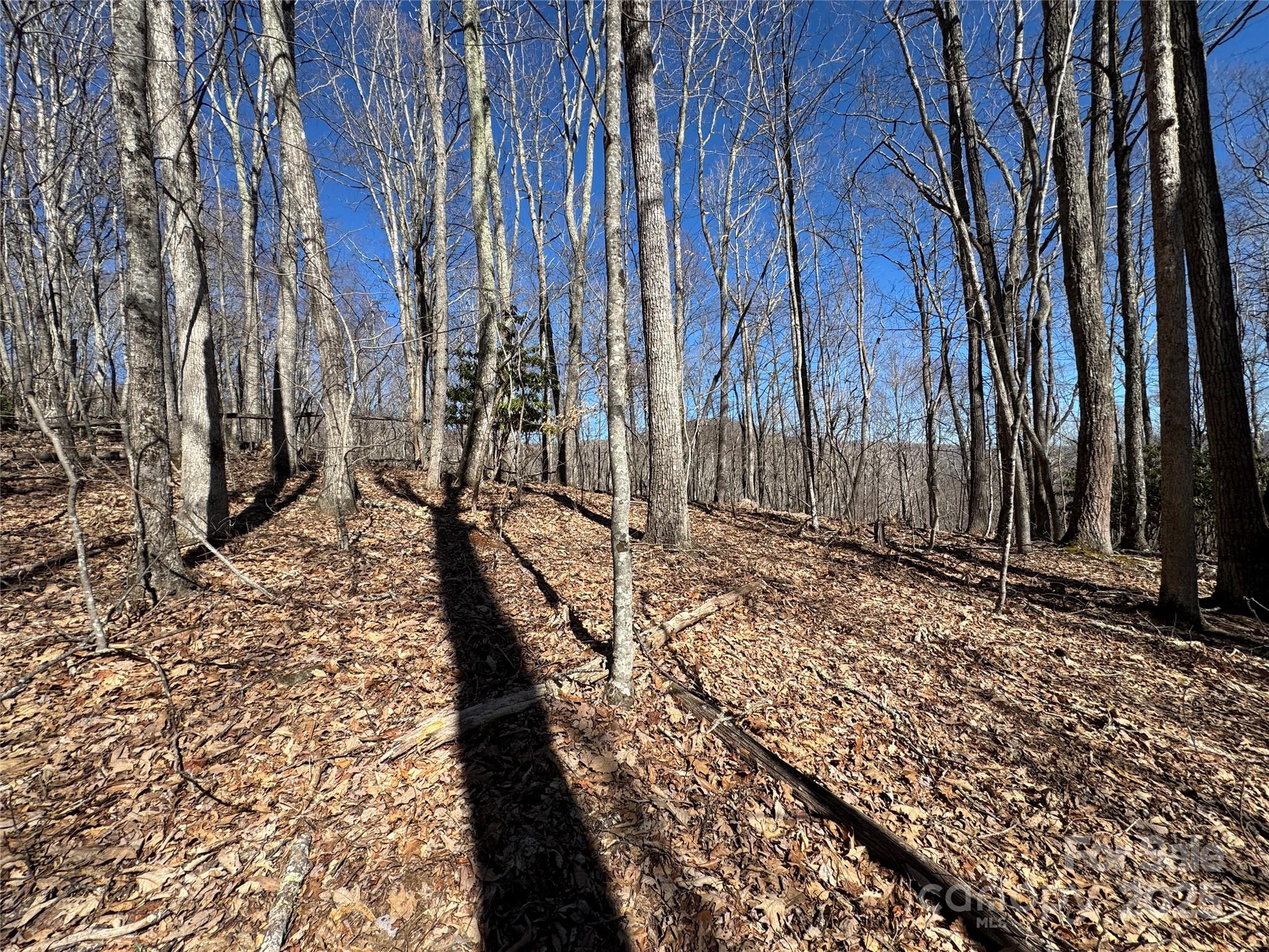 Tbd Doublehead Mountain Road Property Photo 45