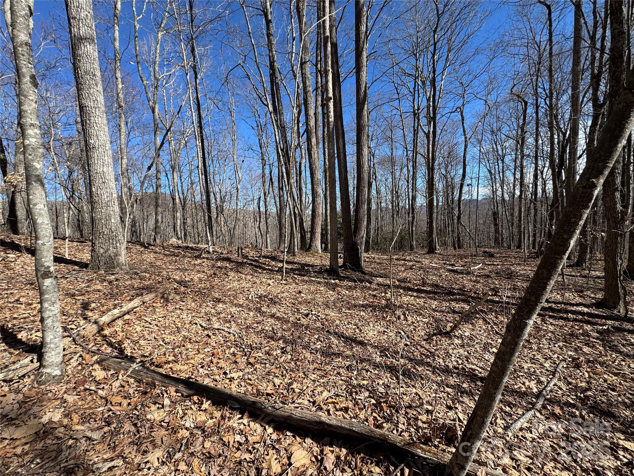 Tbd Doublehead Mountain Road Property Photo 46