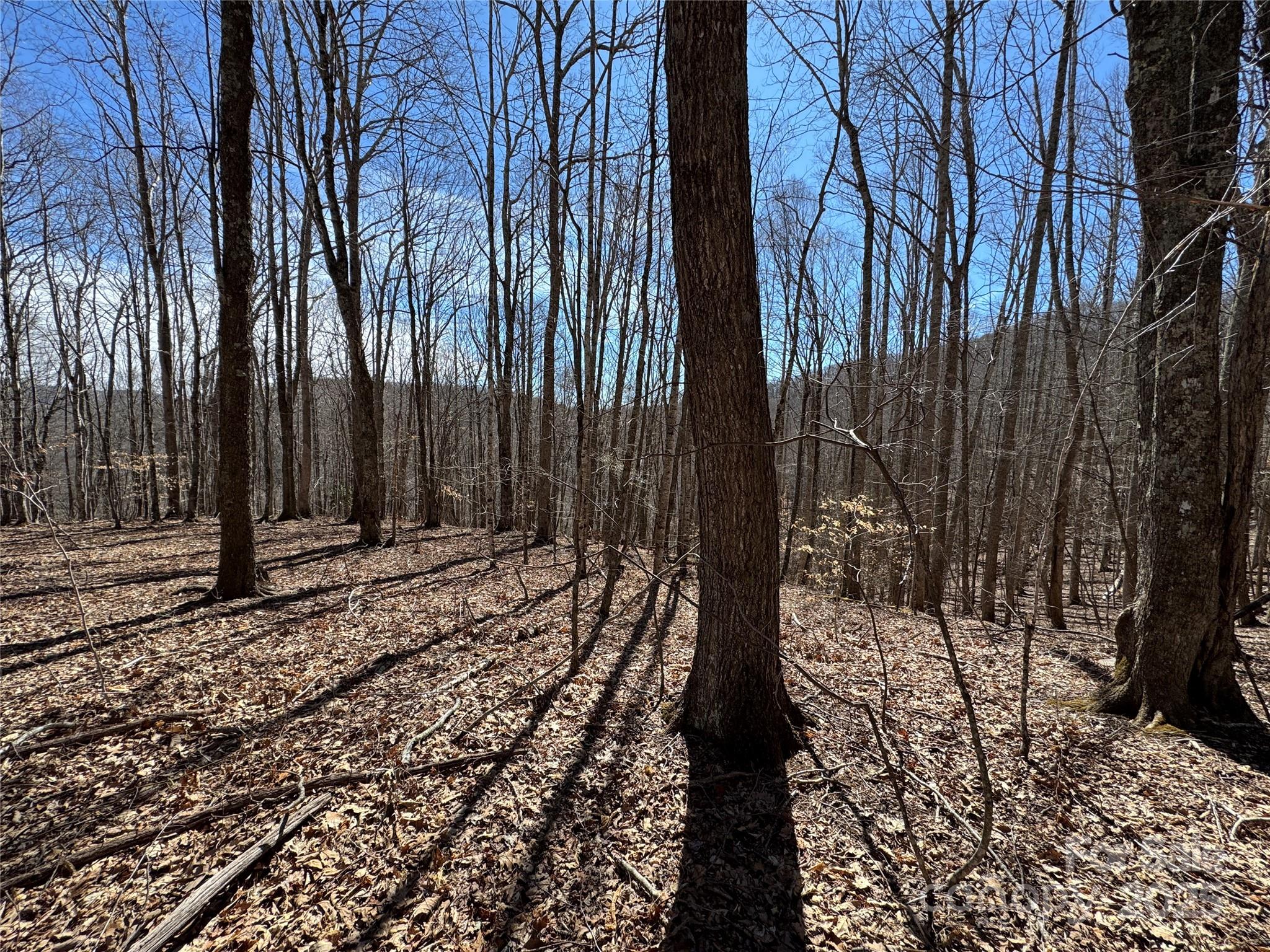 Tbd Doublehead Mountain Road Property Photo 47