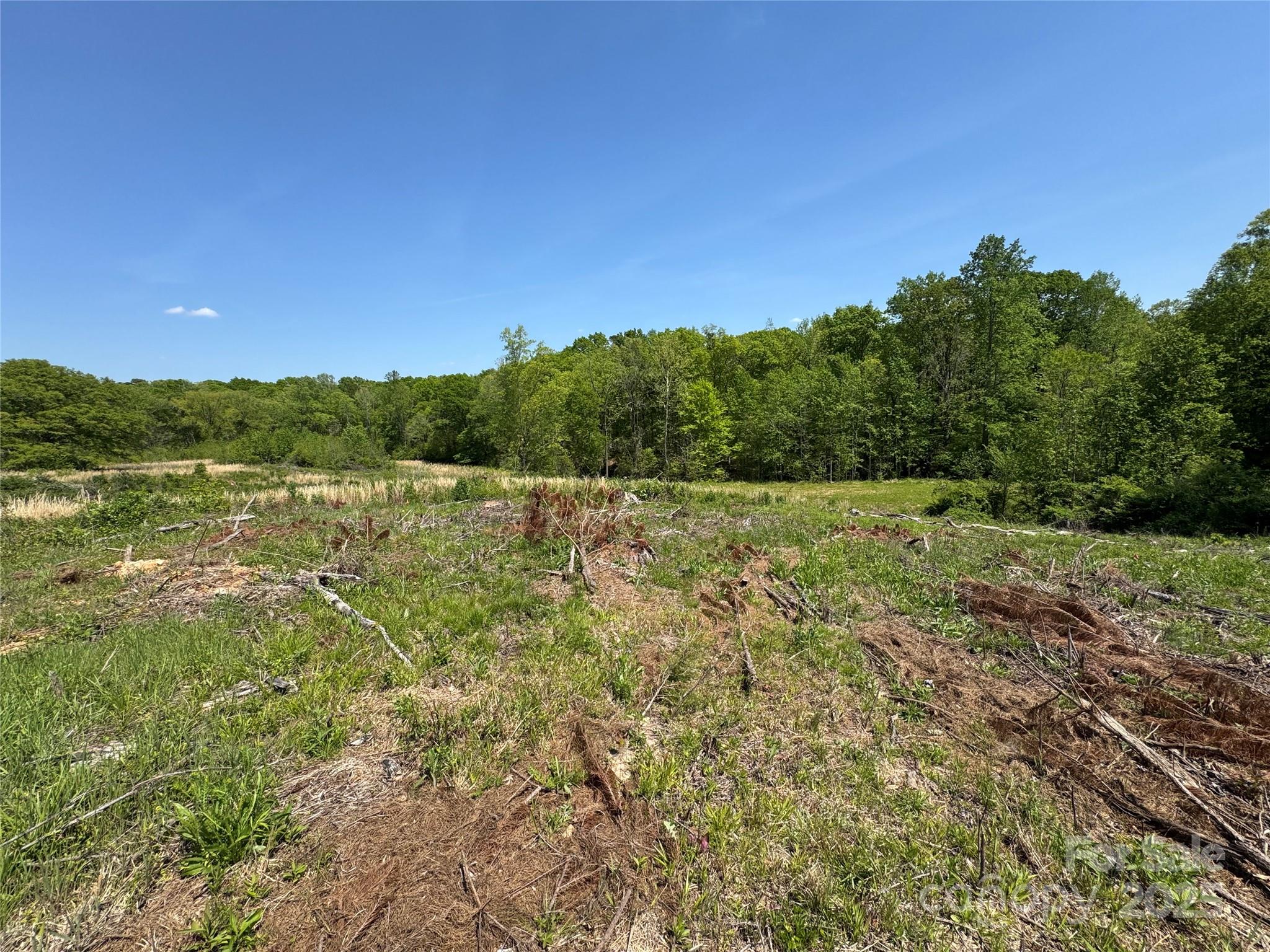 0000 Henry Harris Road 3d Property Photo 18