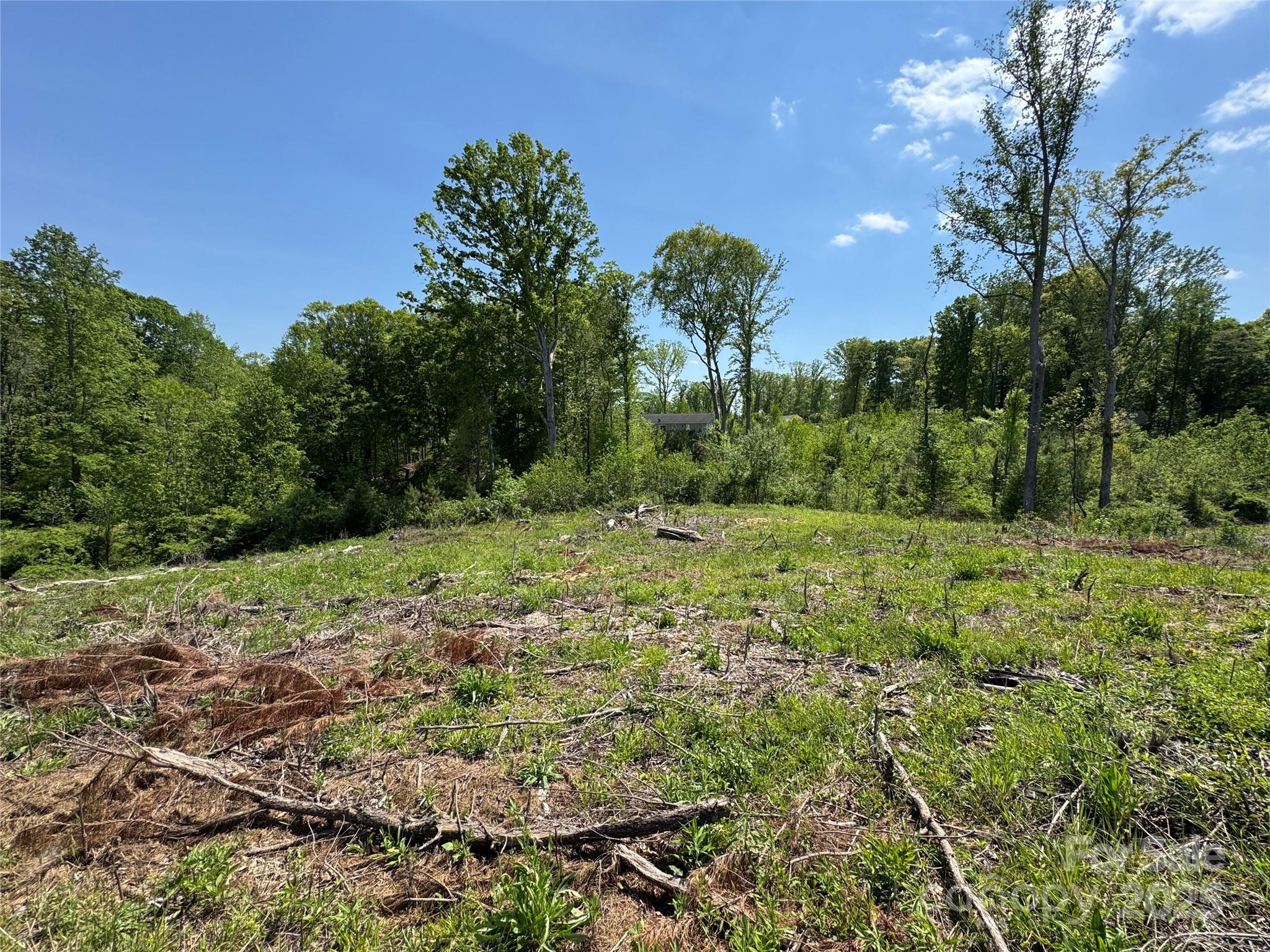 0000 Henry Harris Road 3d Property Photo 19