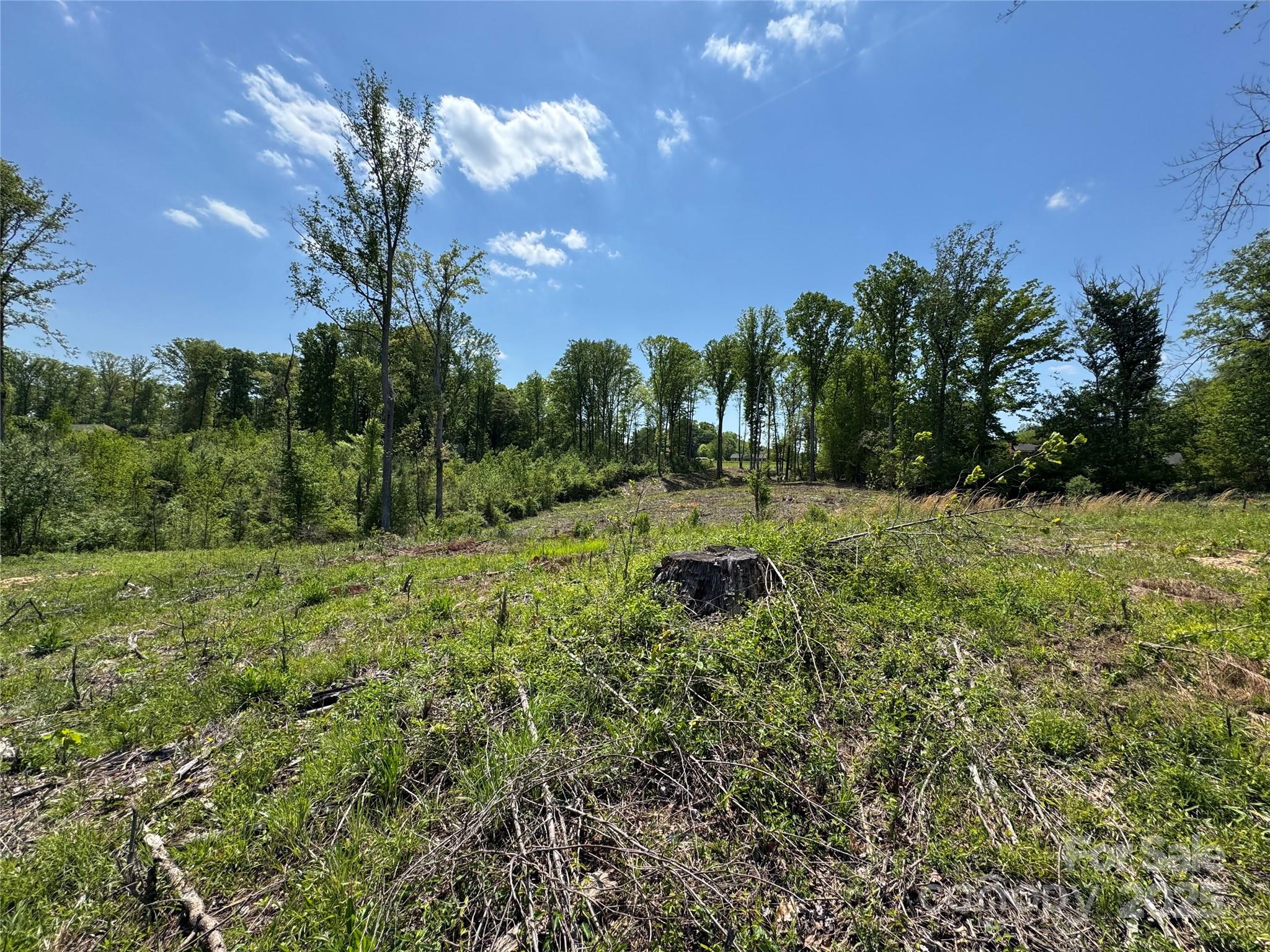 0000 Henry Harris Road 3d Property Photo 20