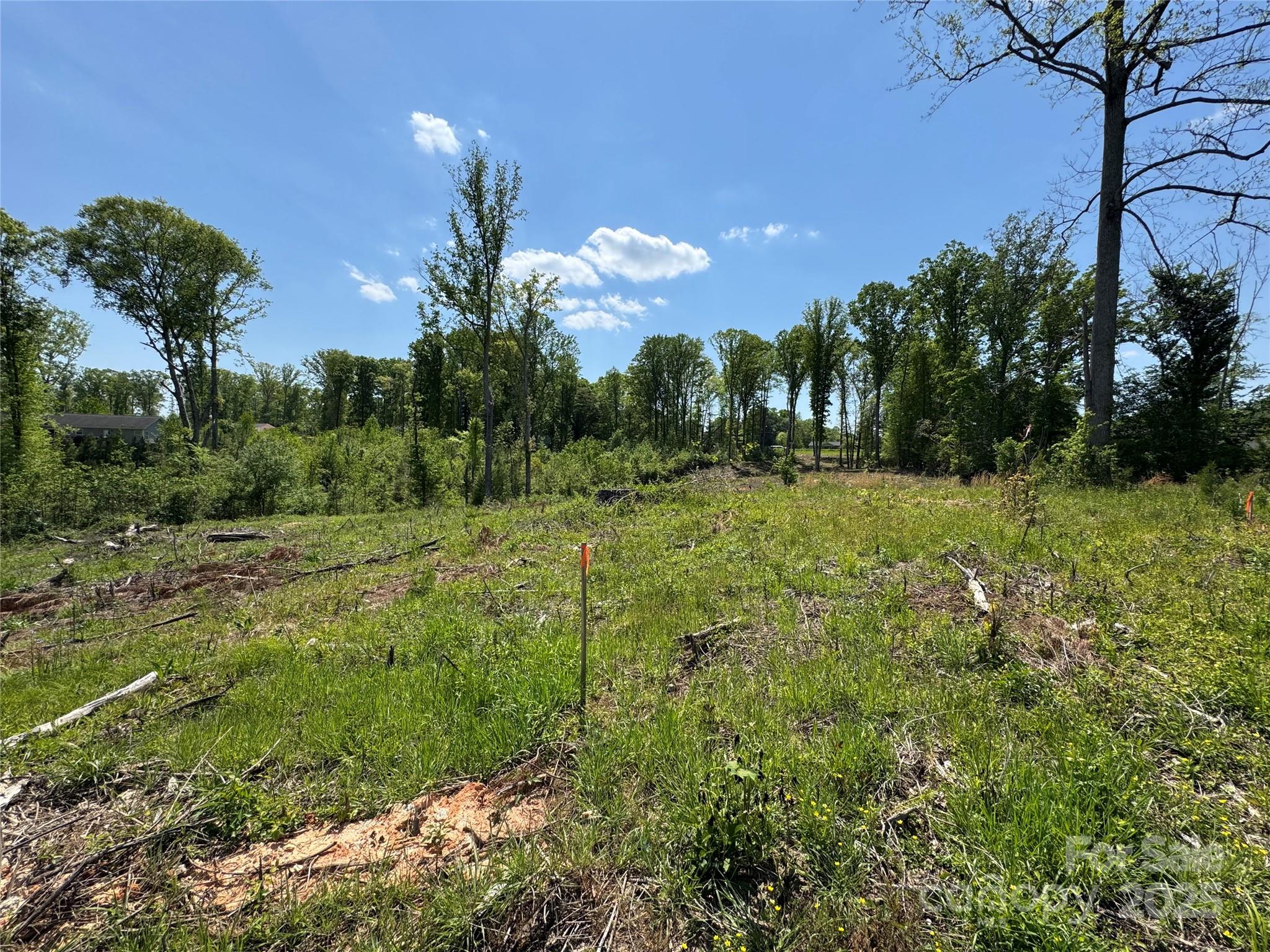 0000 Henry Harris Road 3d Property Photo 21