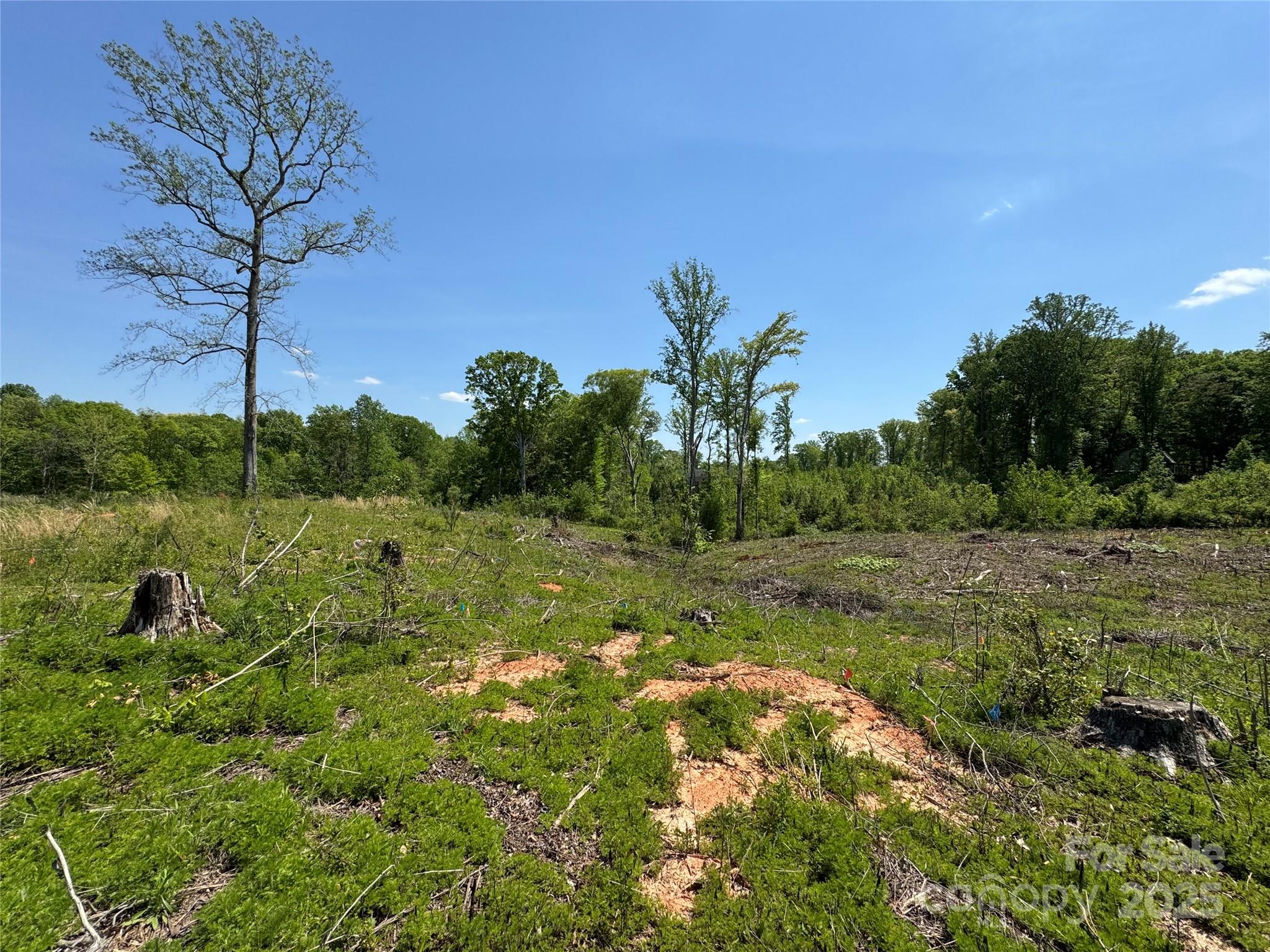 0000 Henry Harris Road 3d Property Photo 22